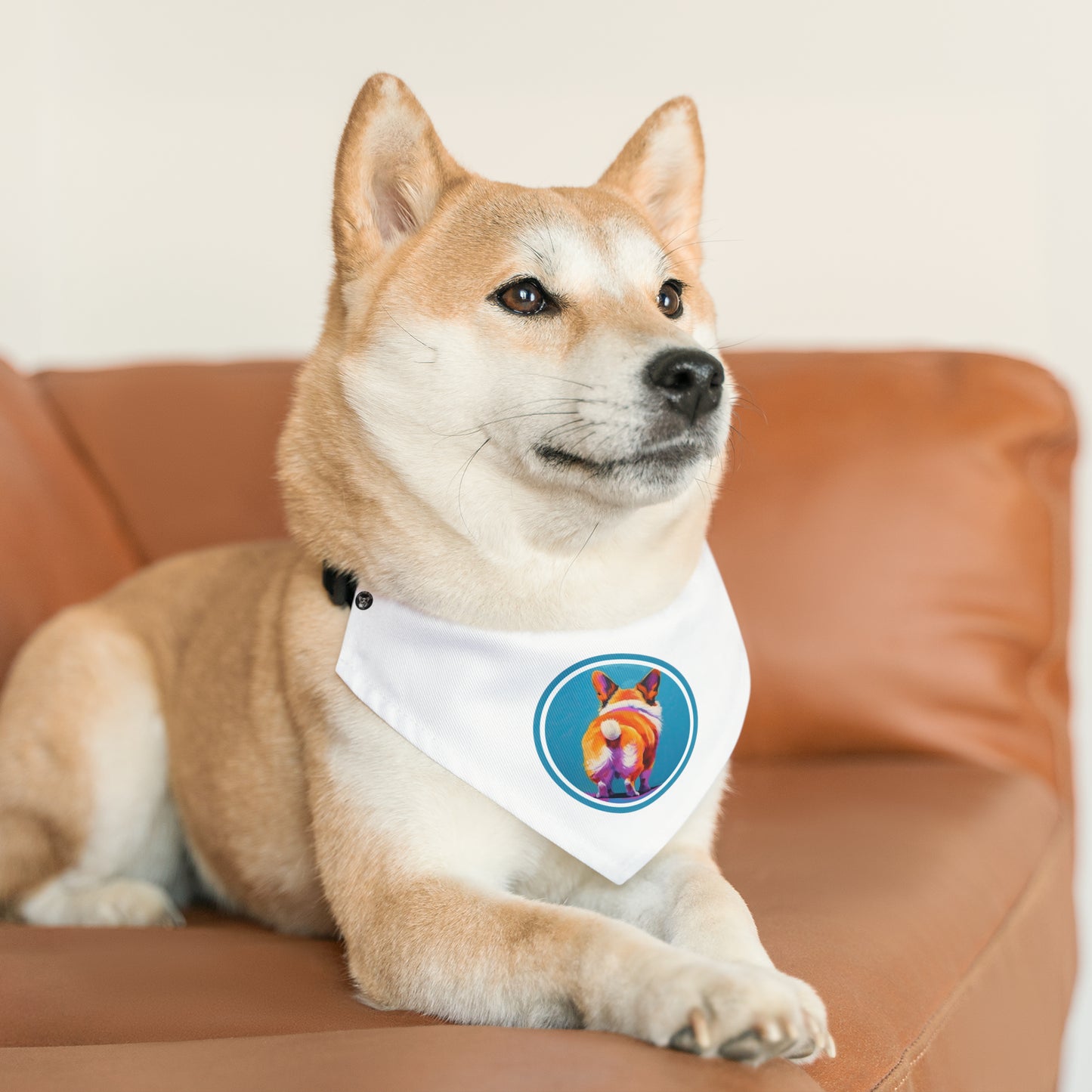 Corgi Butt - Bandana Collar