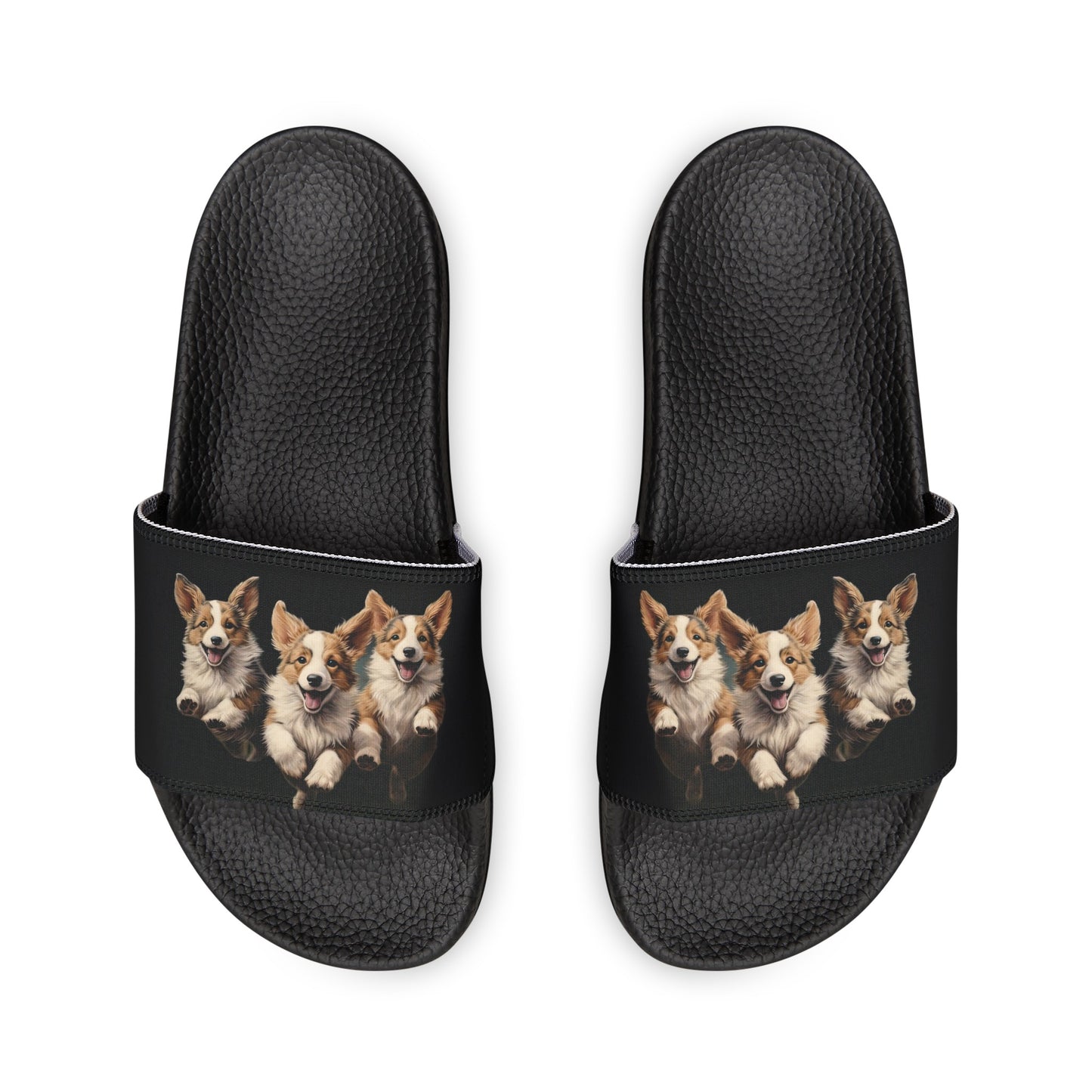 Corgi Enthusiasm - Men's Slide Sandals