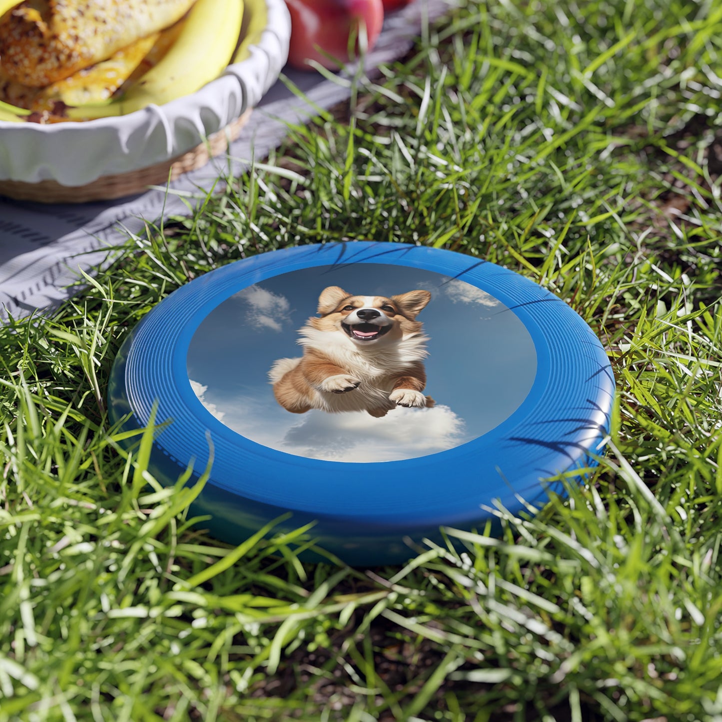 Flying Corgi - Wham-O Frisbee