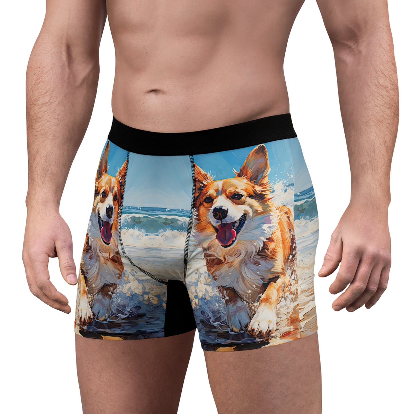 Coastal Corgi Boxer Briefs