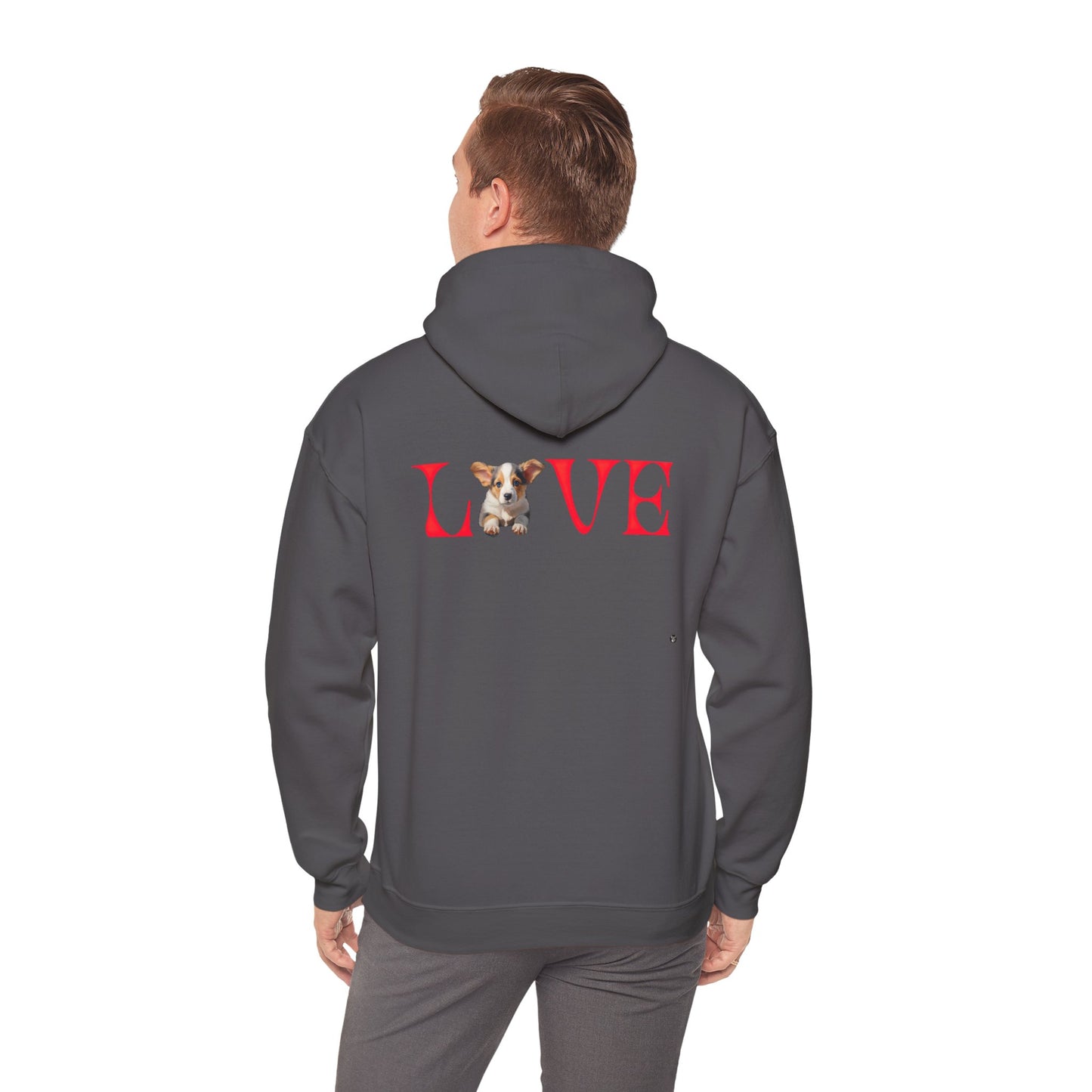 LOVE - Hoodie