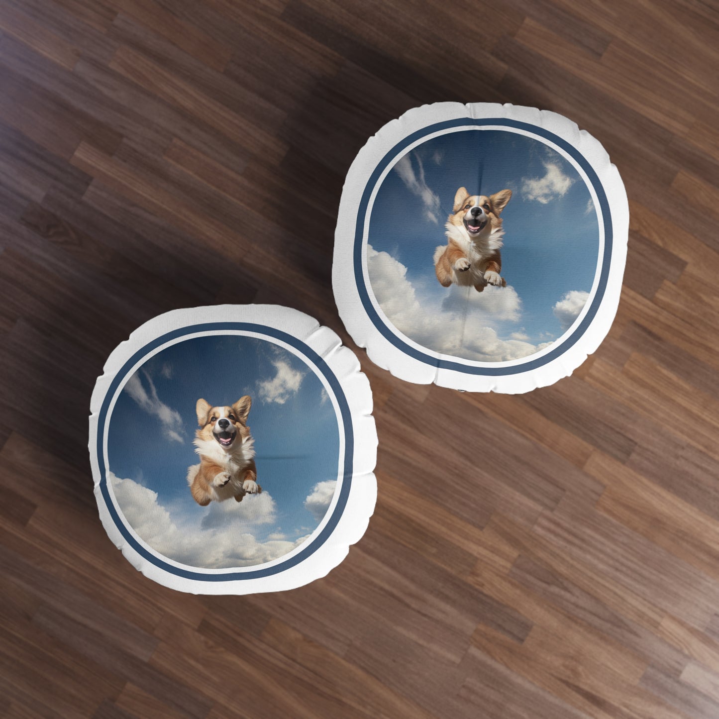 Flying Corgi - Floor Pillow