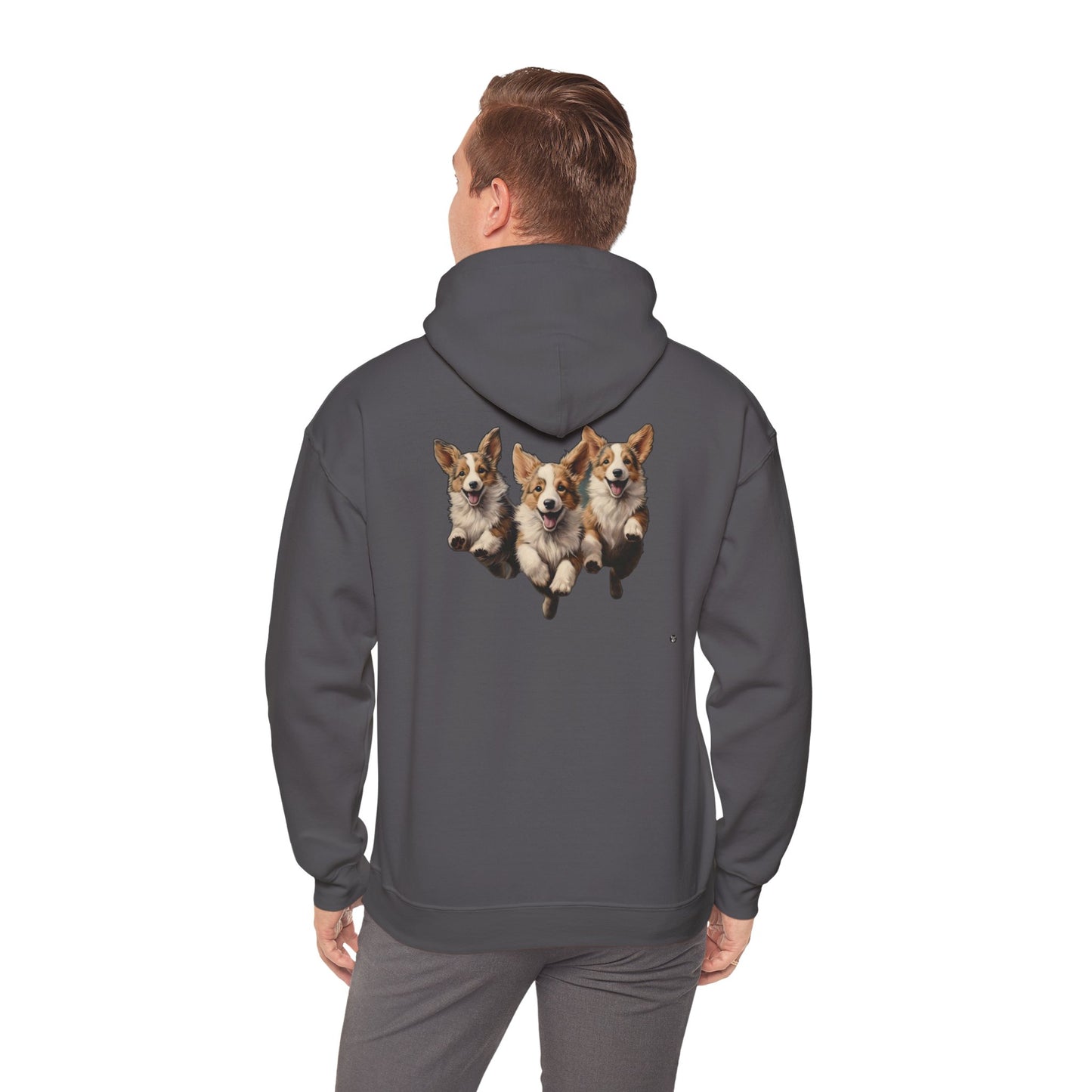 Corgi Enthusiasm - Hoodie