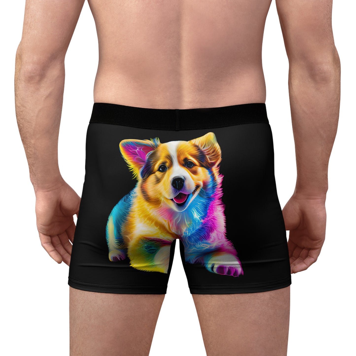 Colorful Corgi Boxer Briefs