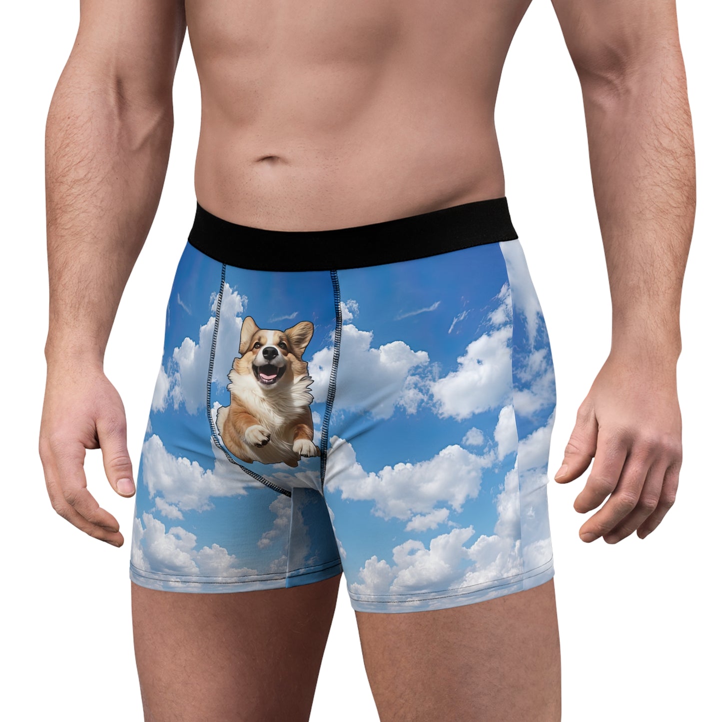 Super Corgi Boxer Briefs!
