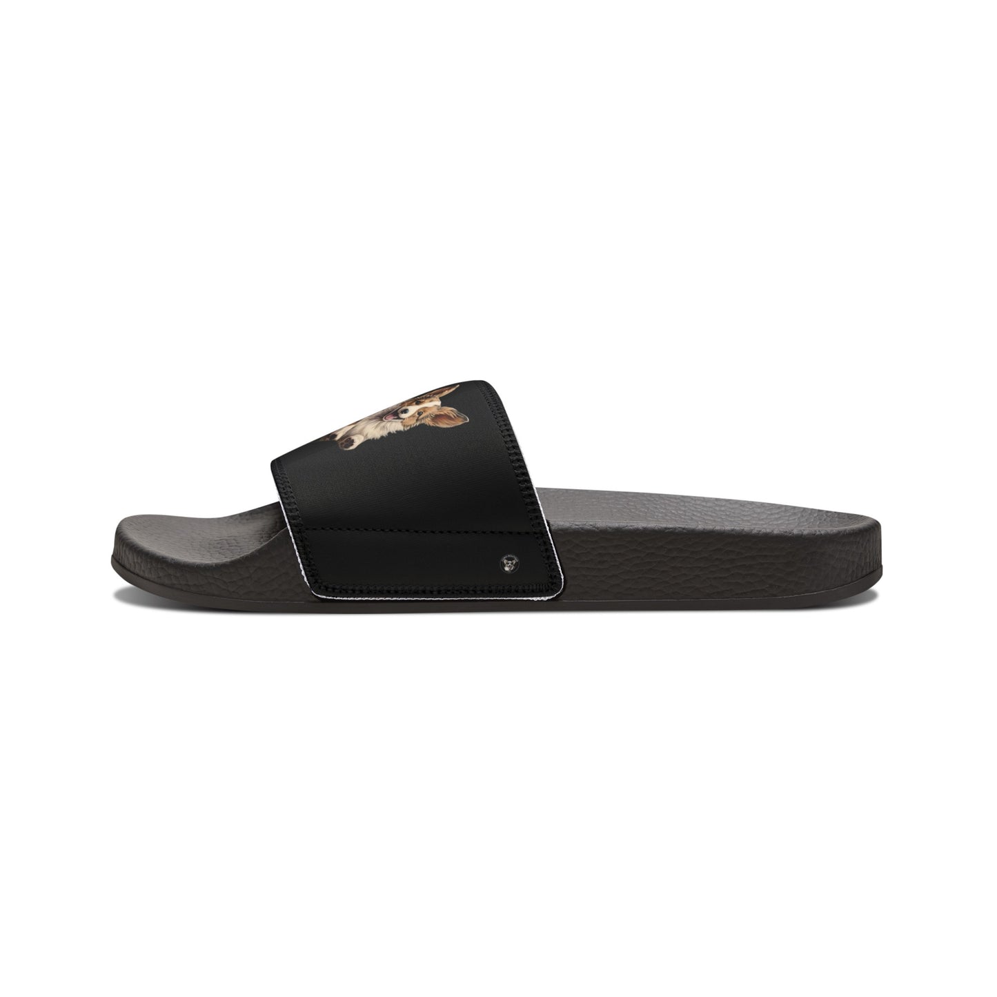 Corgi Enthusiasm - Men's Slide Sandals