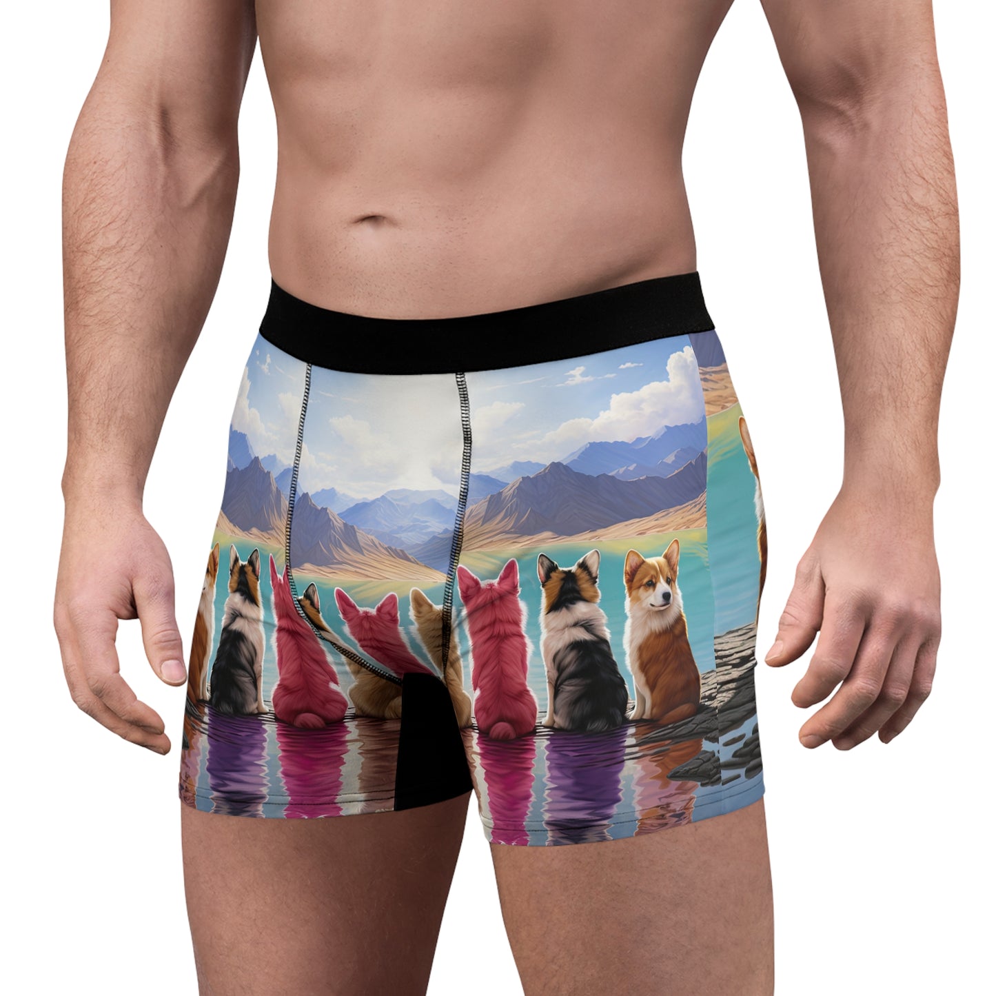 Corgi Lake Boxer Briefs