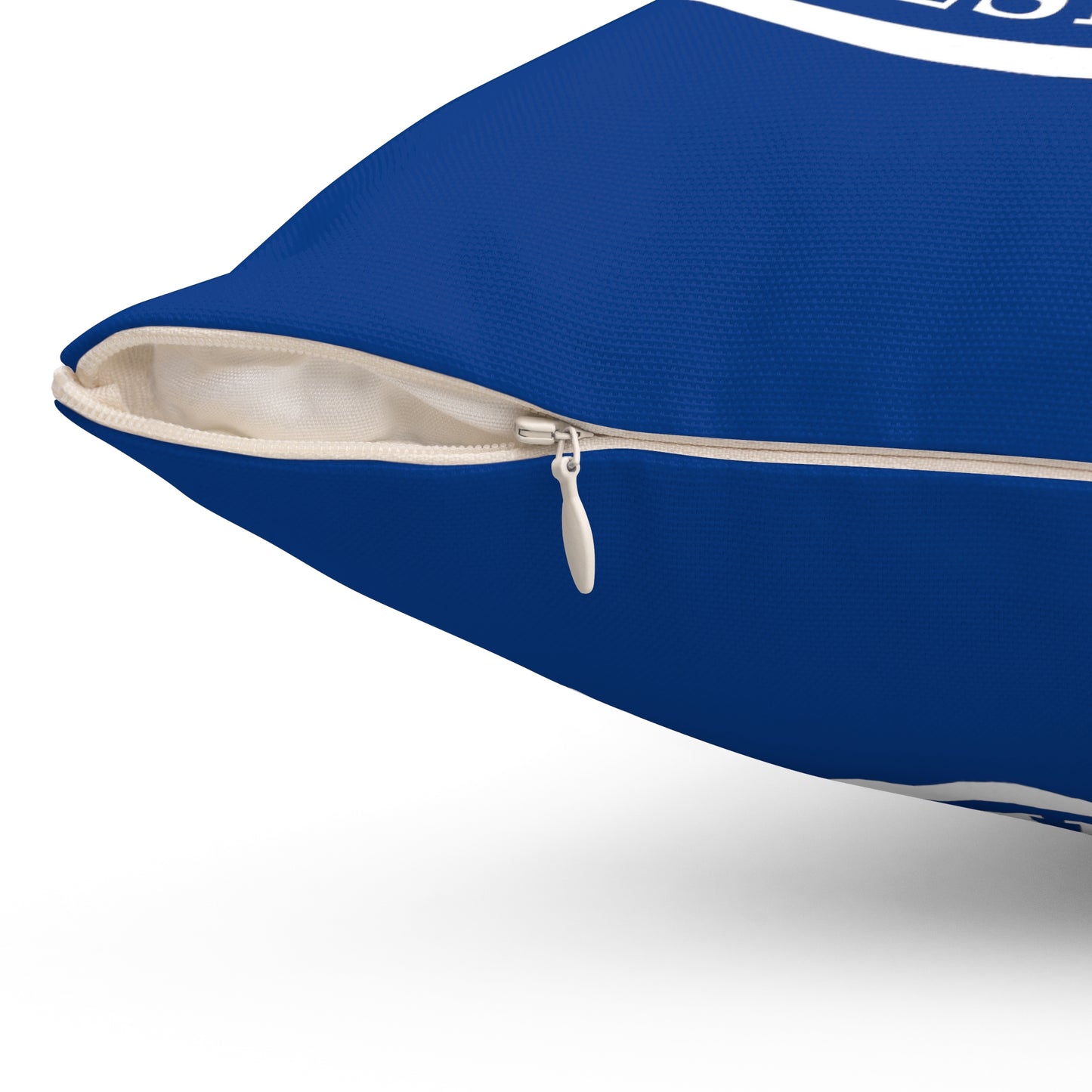 Fan Club President - Throw Pillow