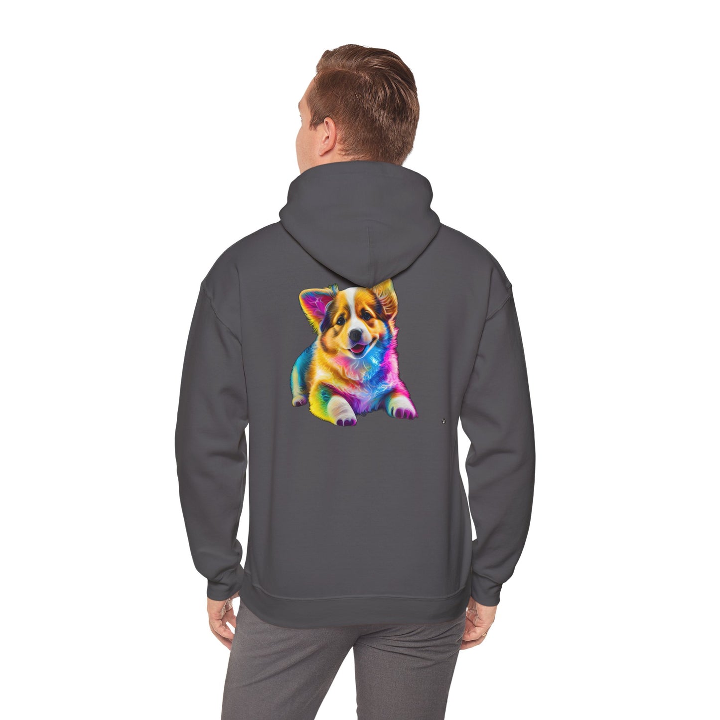 Colorful Corgi - Hoodie