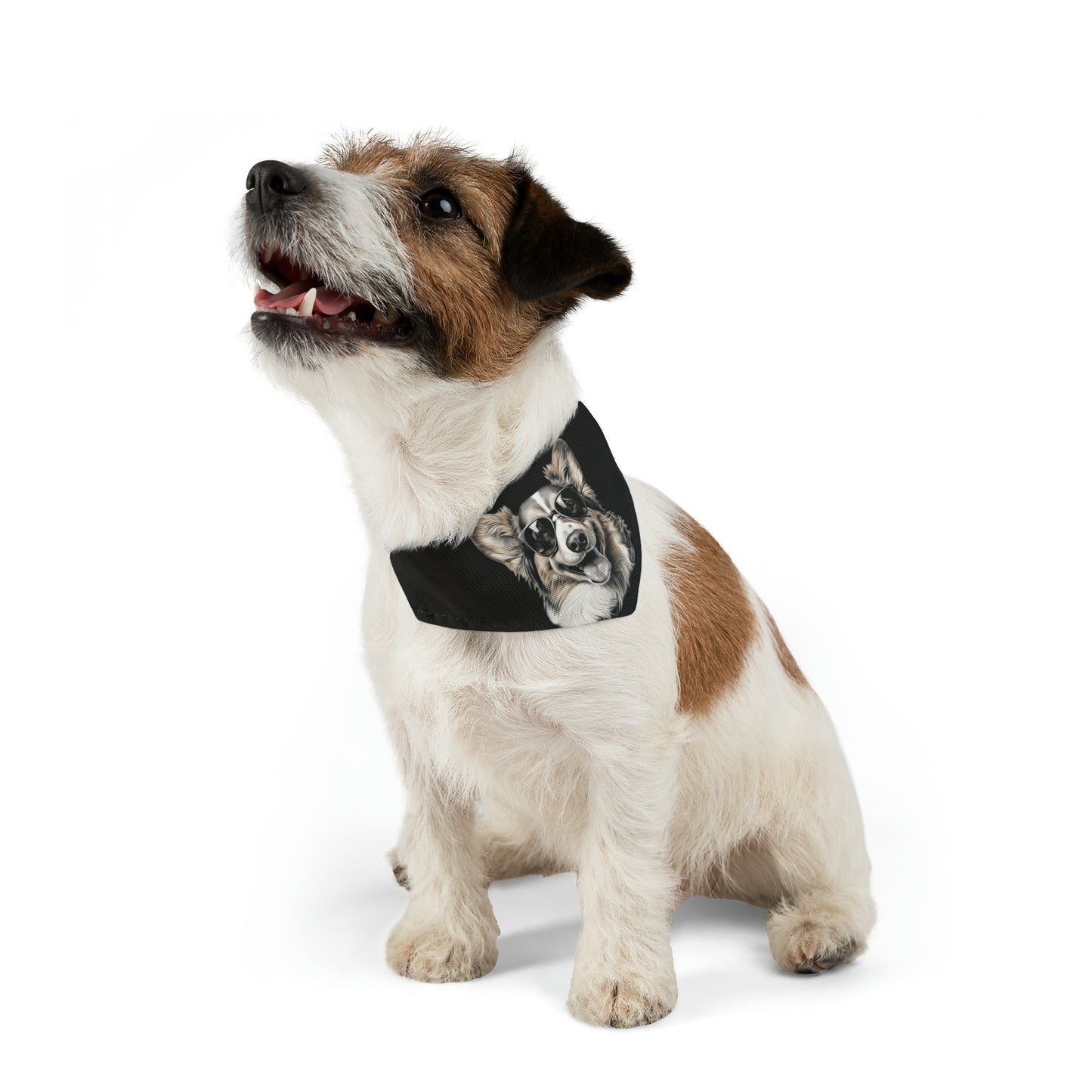 Corgi Cool - Bandana Collar