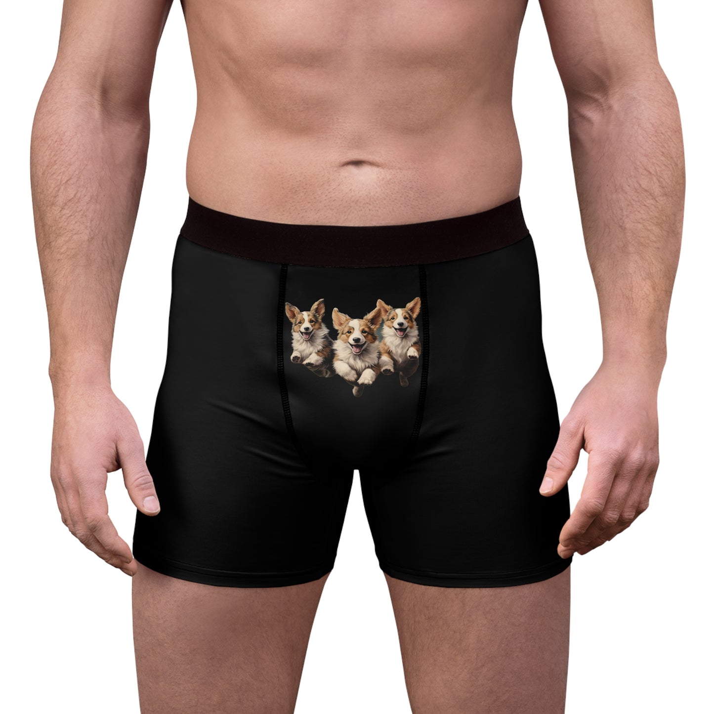 Corgi Enthusiasm Boxer Briefs