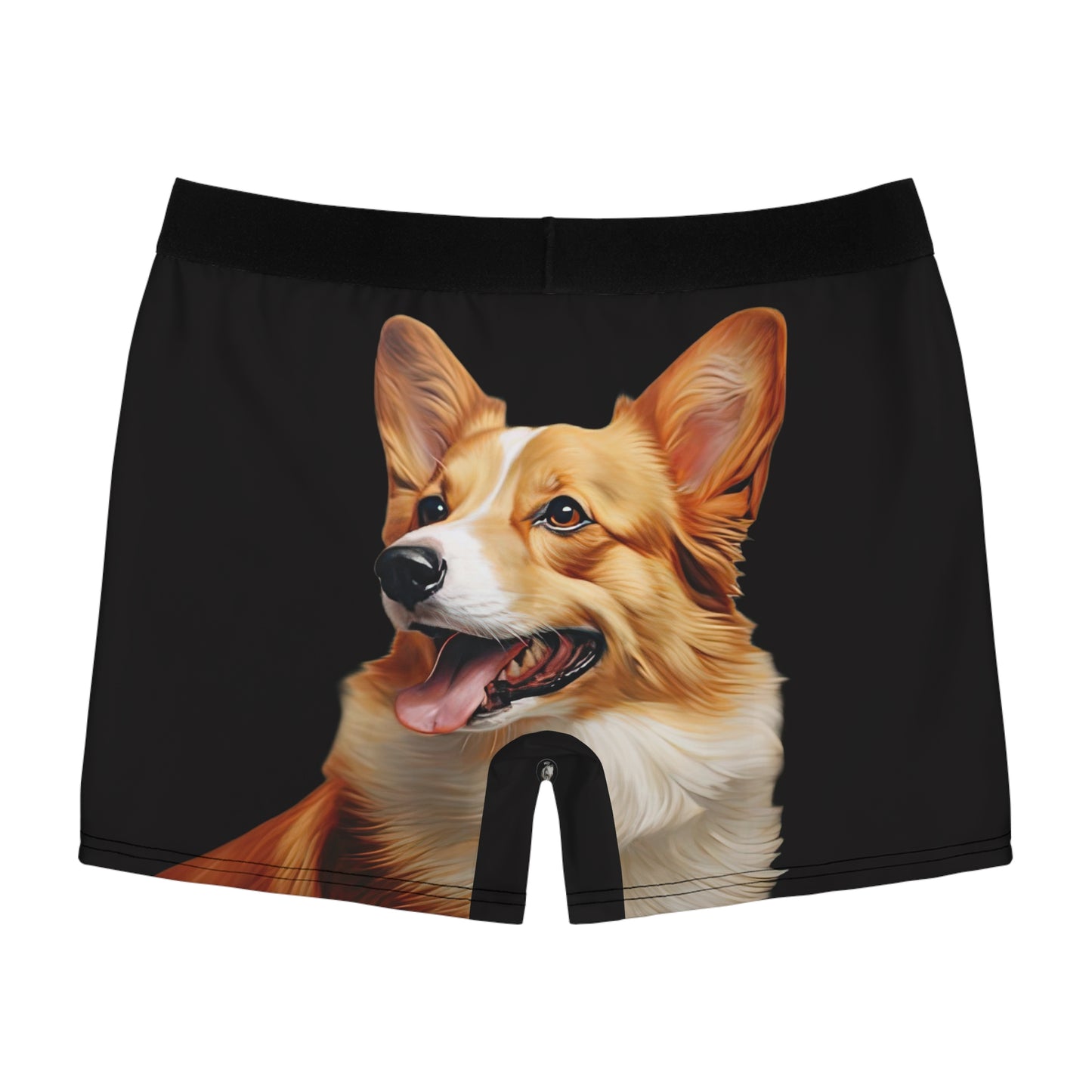 Pembroke Portrait Boxer Briefs!