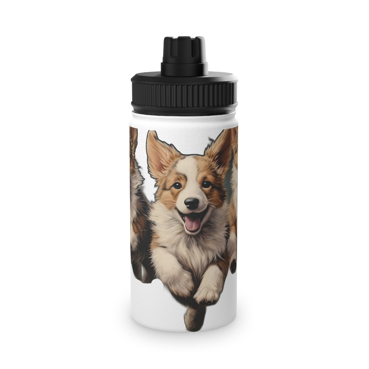 Corgi Enthusiasm - Water Bottle with Sport Lid
