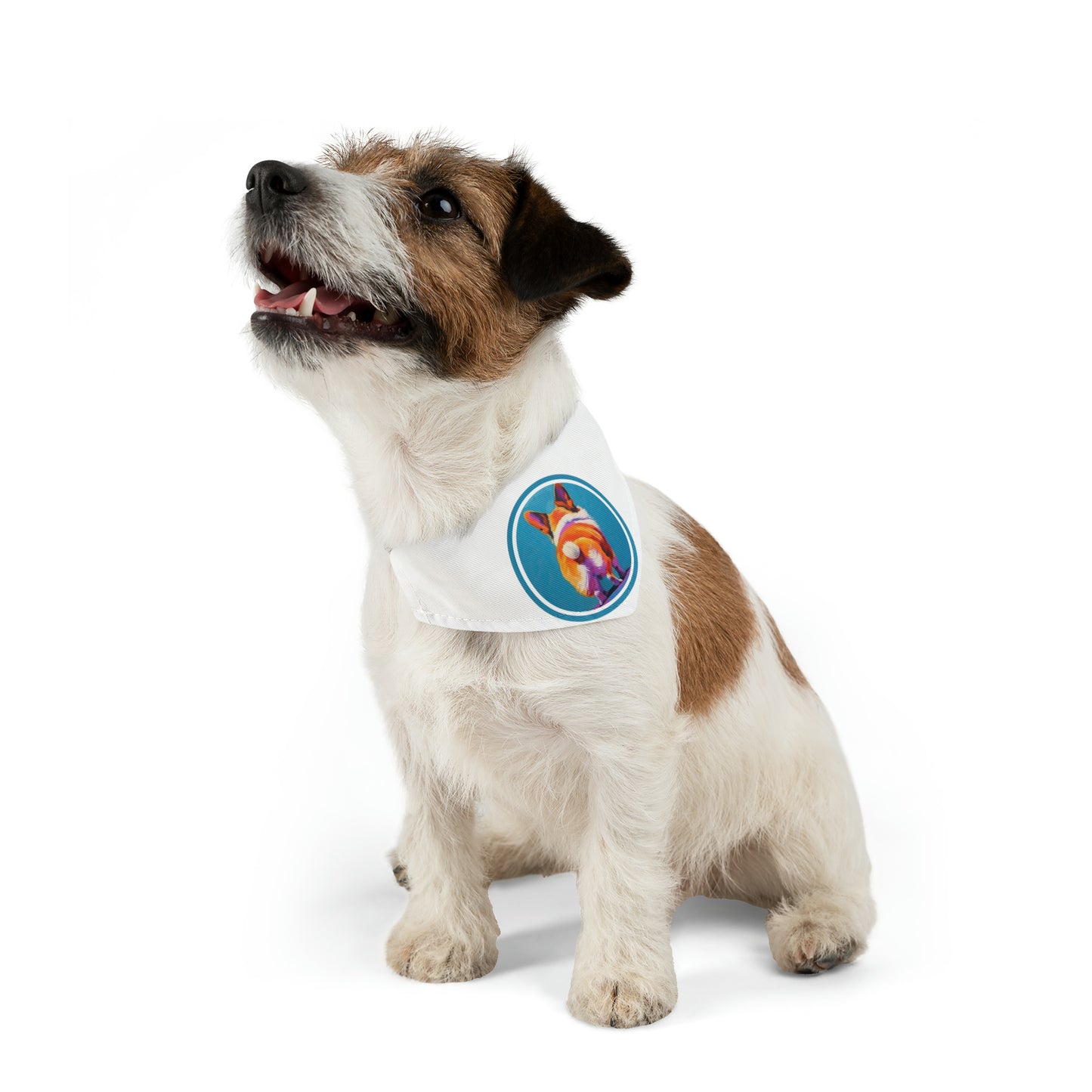 Corgi Butt - Bandana Collar