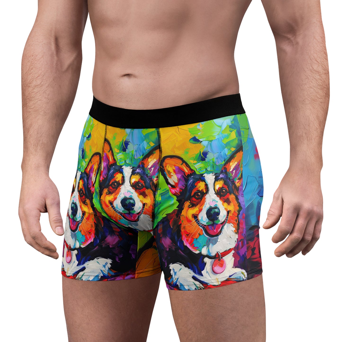 Colorful Corgi Boxer Briefs!