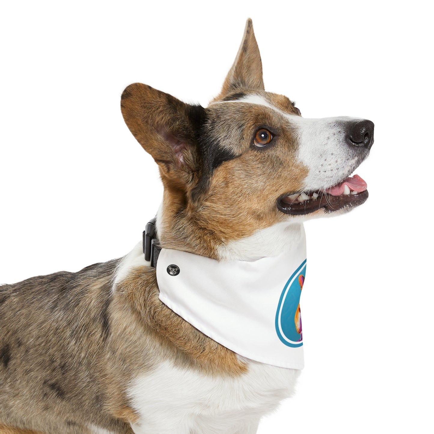 Corgi Butt - Bandana Collar