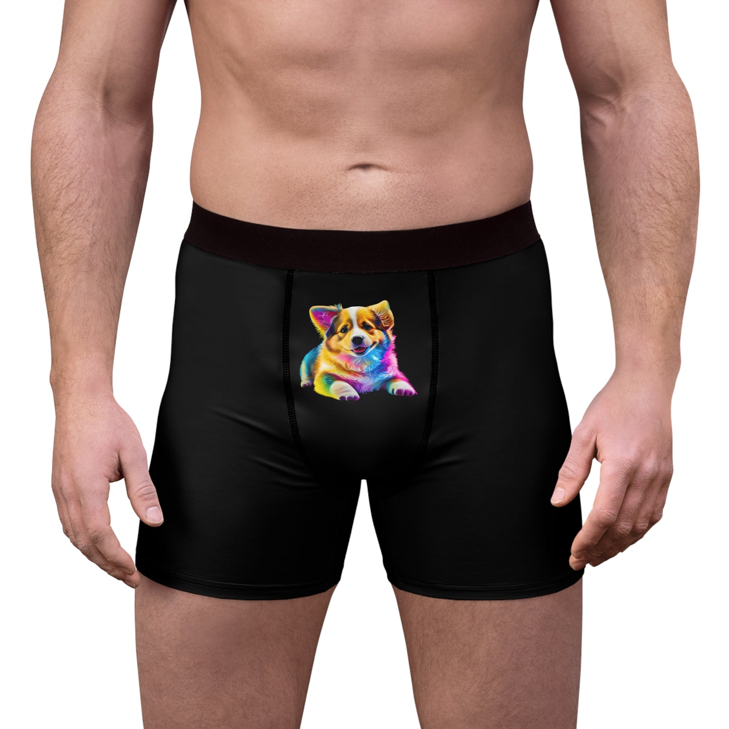 Colorful Corgi Boxer Briefs
