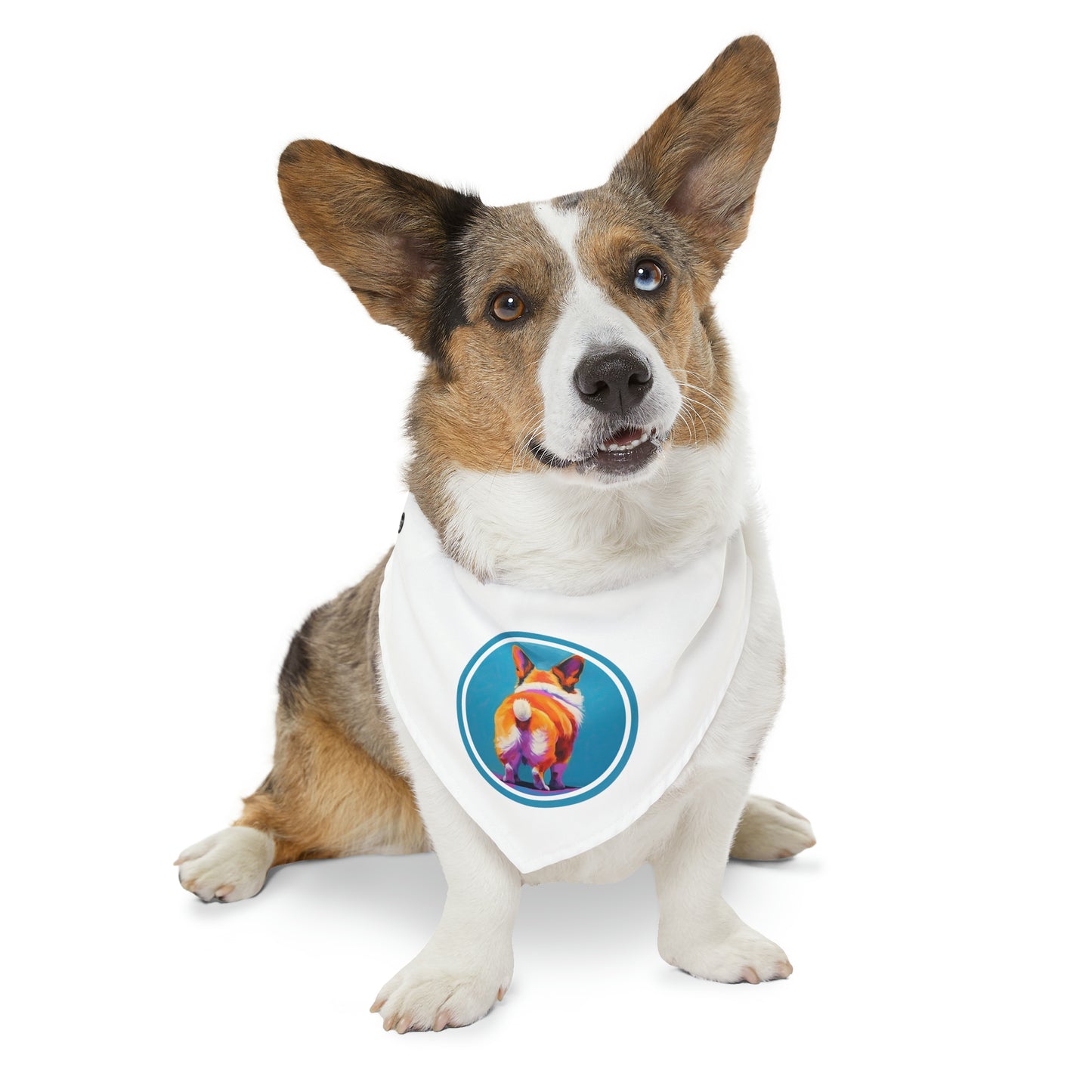 Corgi Butt - Bandana Collar