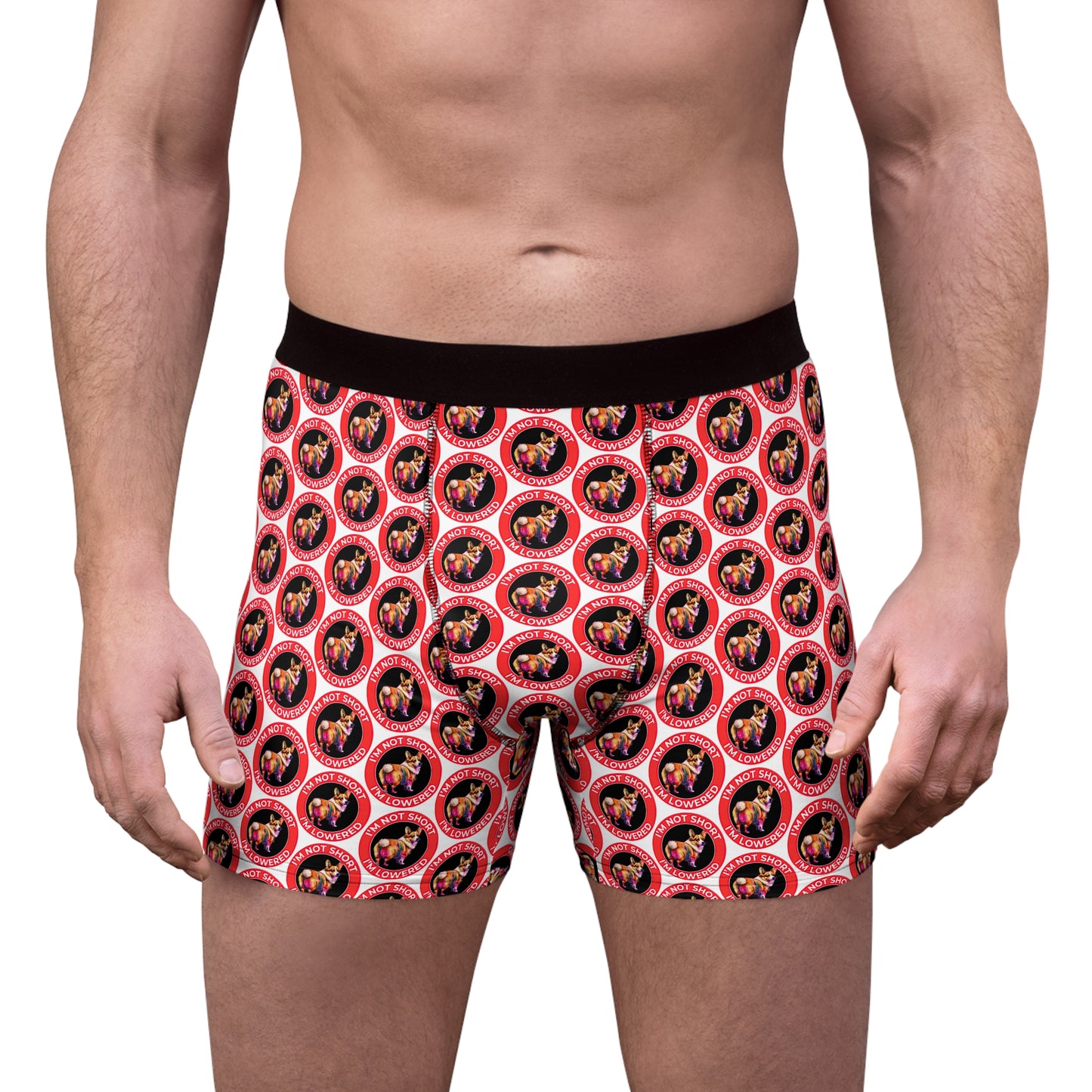 Lowrider Mosaic Boxer Briefs