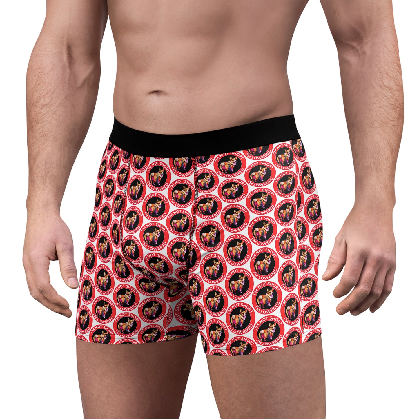 Lowrider Mosaic Boxer Briefs