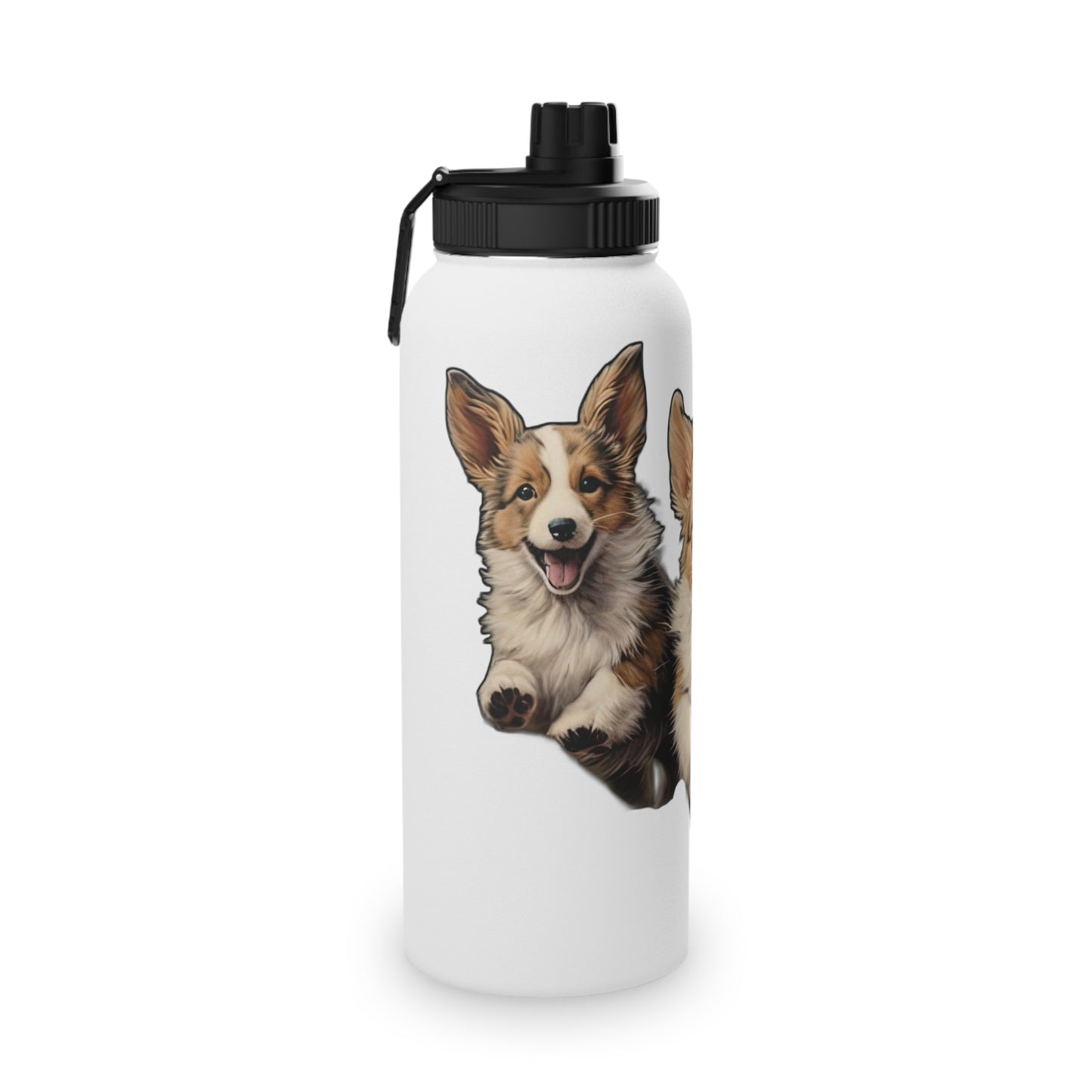 Corgi Enthusiasm - Water Bottle with Sport Lid
