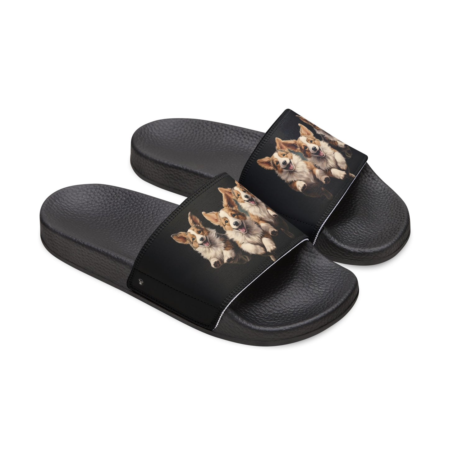 Corgi Enthusiasm - Men's Slide Sandals