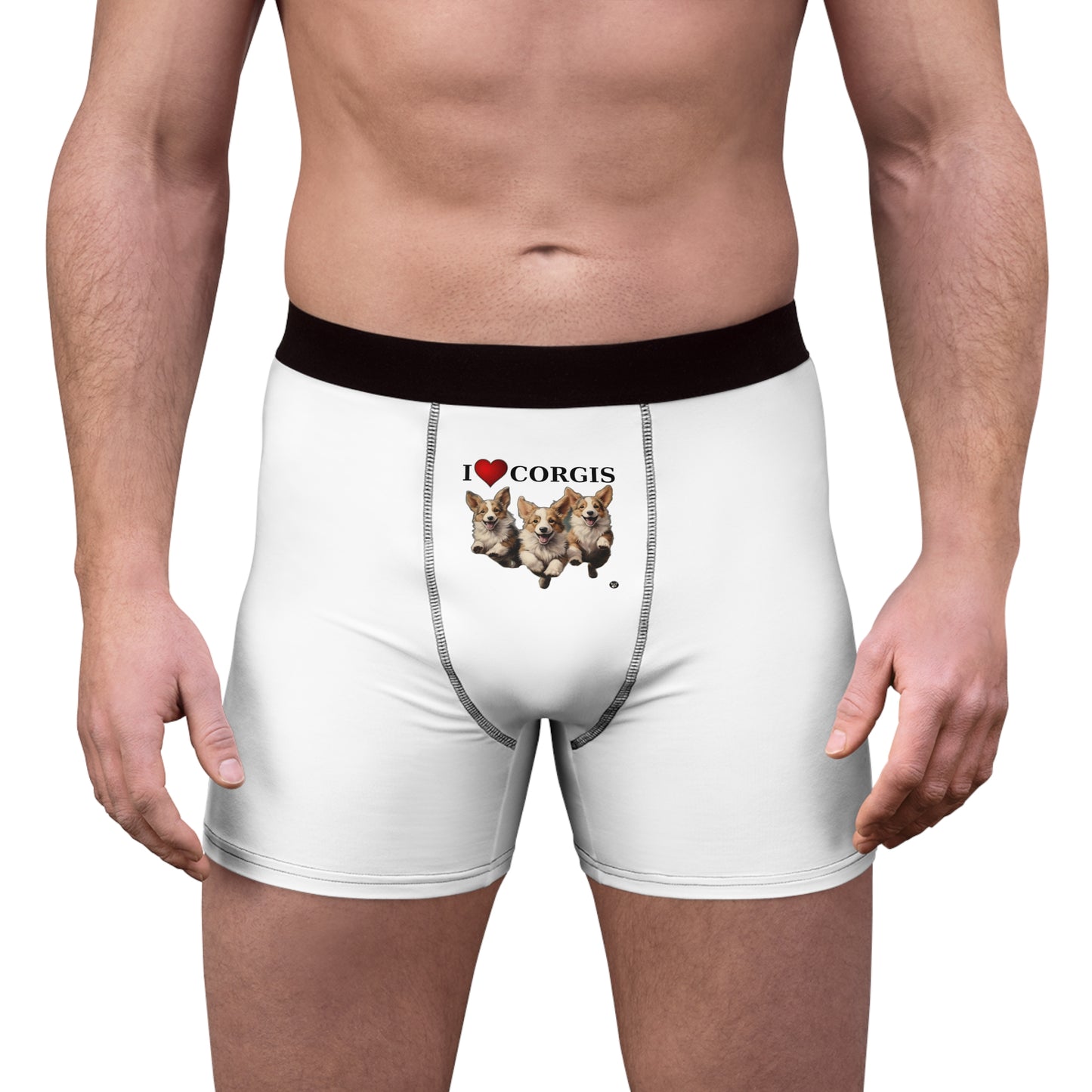 I Heart Corgis Boxer Briefs