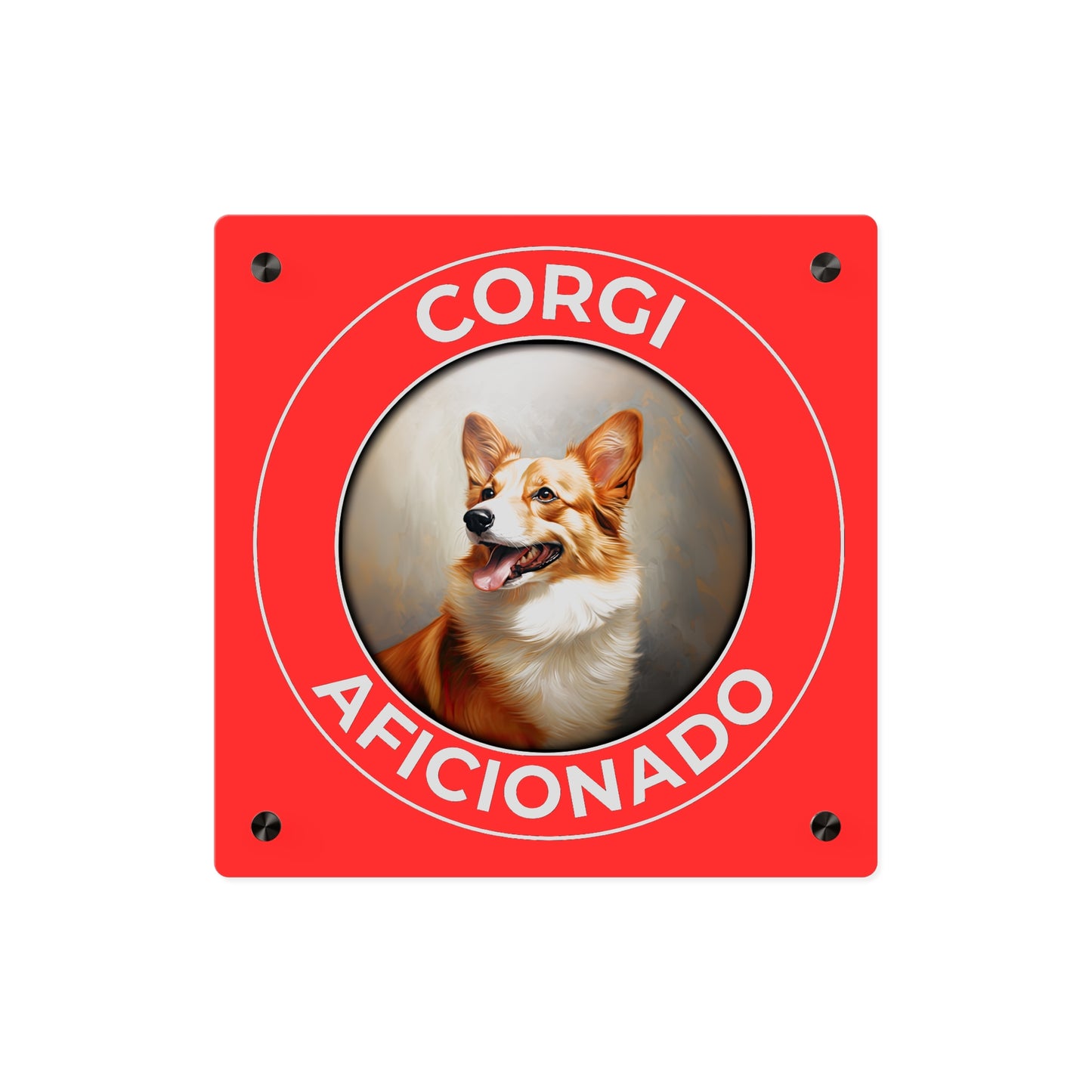 Corgi Aficionado on Acrylic