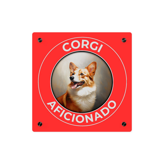 Corgi Aficionado on Acrylic