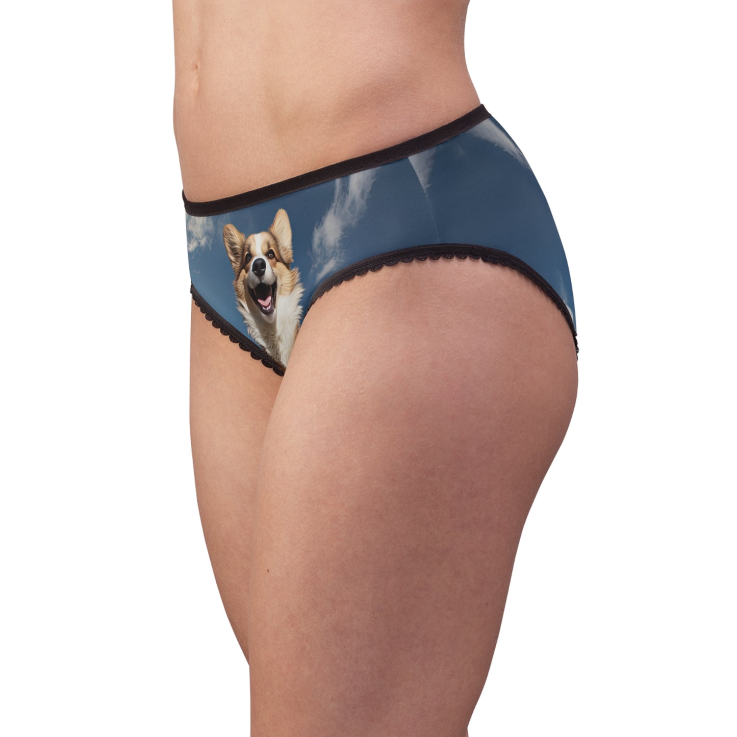 Super Corgi Panties!