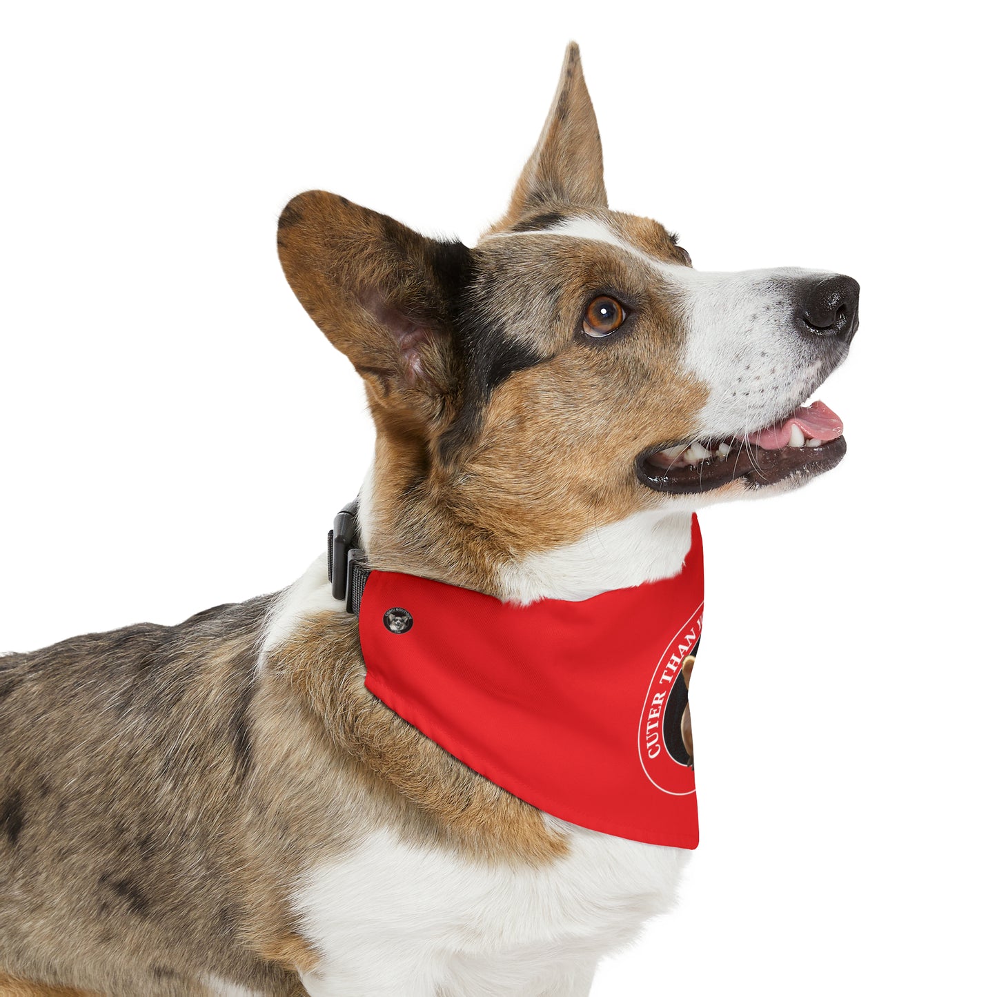 Cuter Than You - Bandana Collar