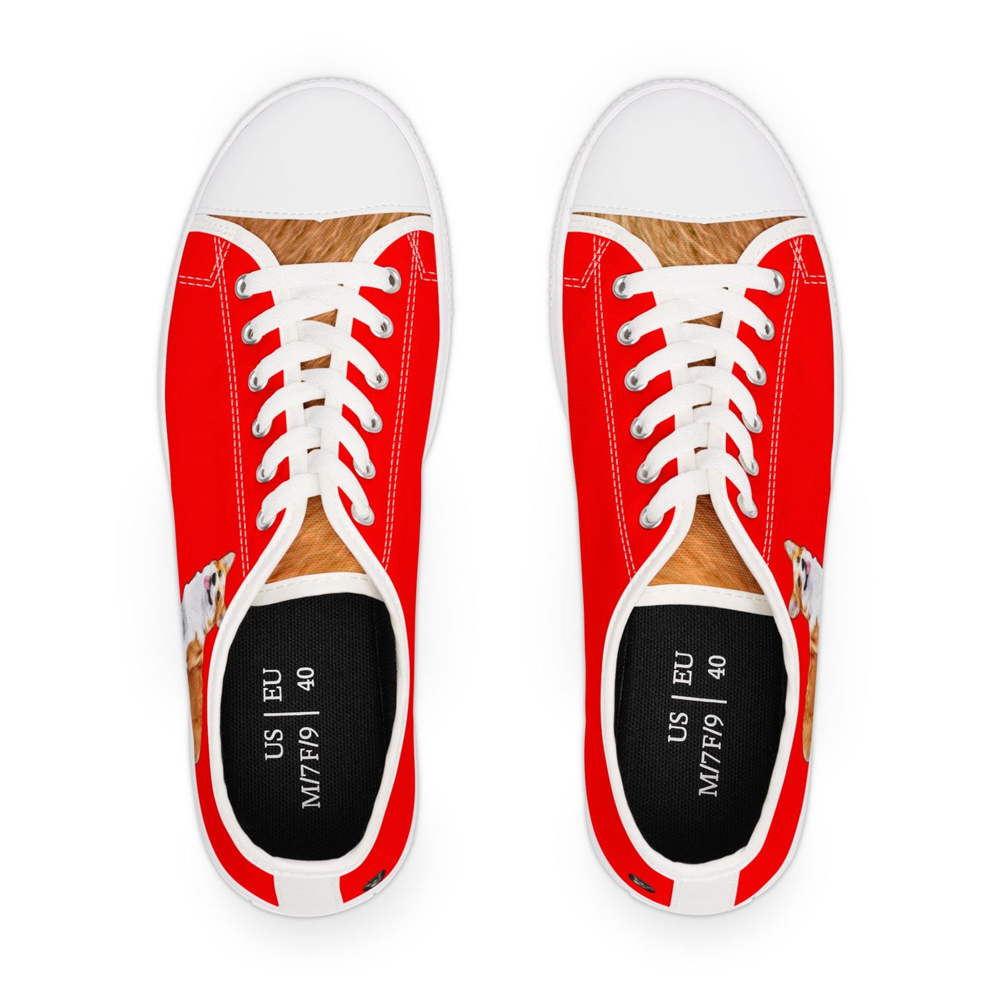 Best in Show Corgi Portrait Women's Casual Low Top Sneakers on Red Canvas