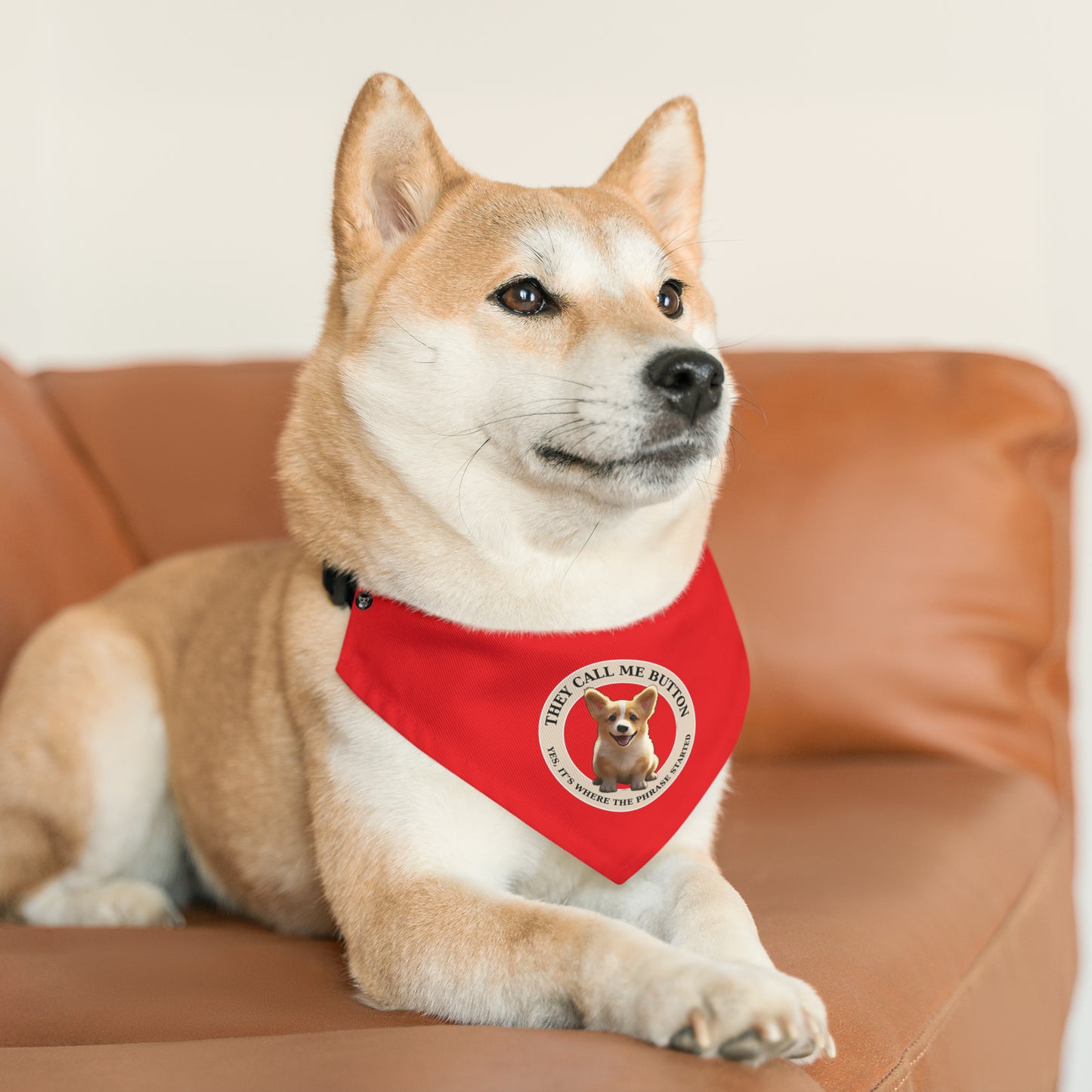 Cute as a Button - Bandana Collar