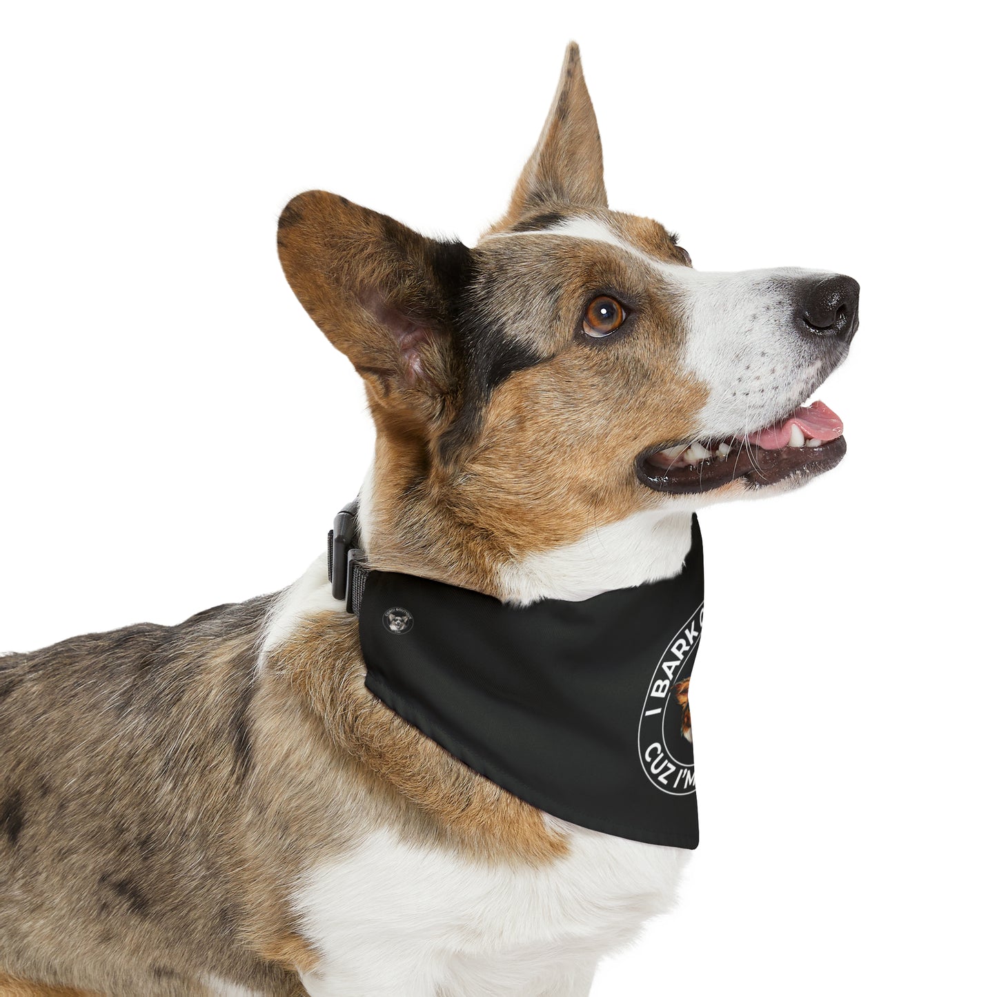 The Boss - Bandana Collar