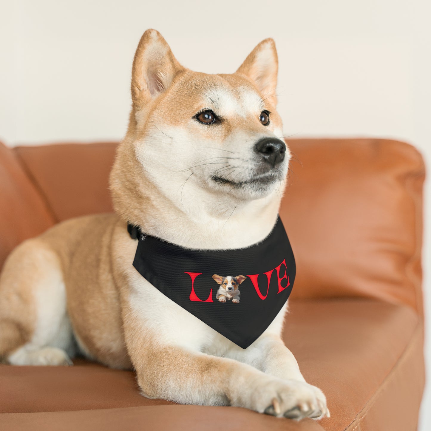 LOVE - Bandana Collar