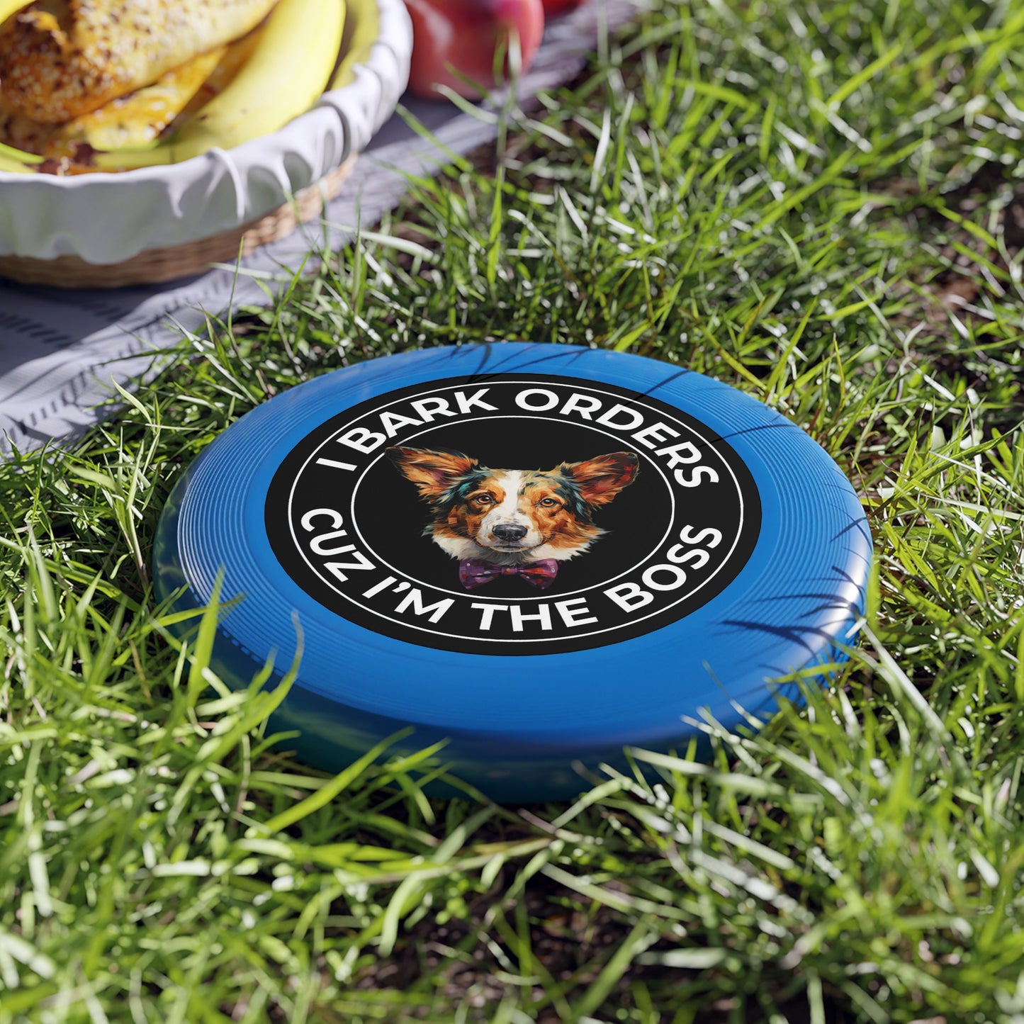 The Boss - Wham-O Frisbee