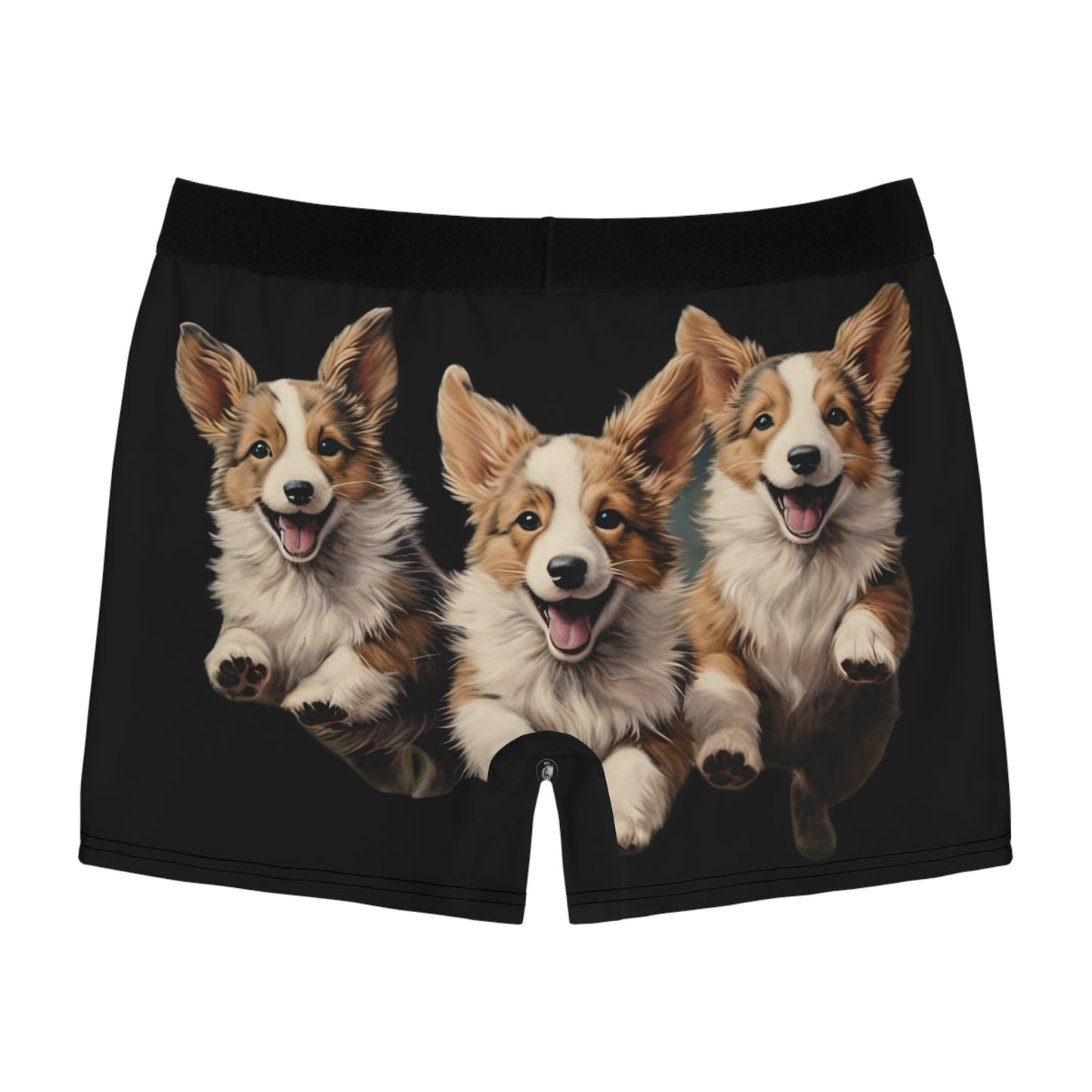 Corgi Enthusiasm Boxer Briefs