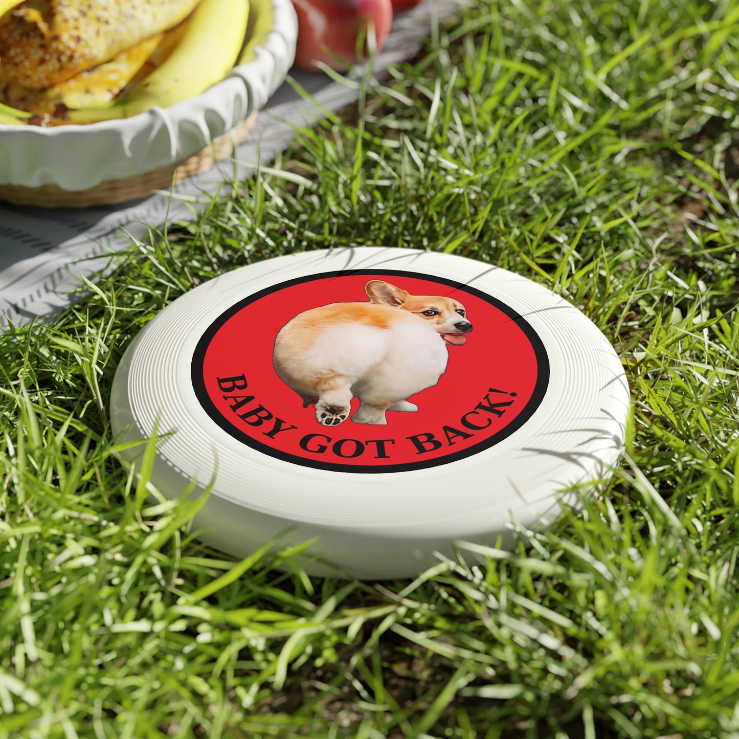 Baby Got Back - Wham-O Frisbee