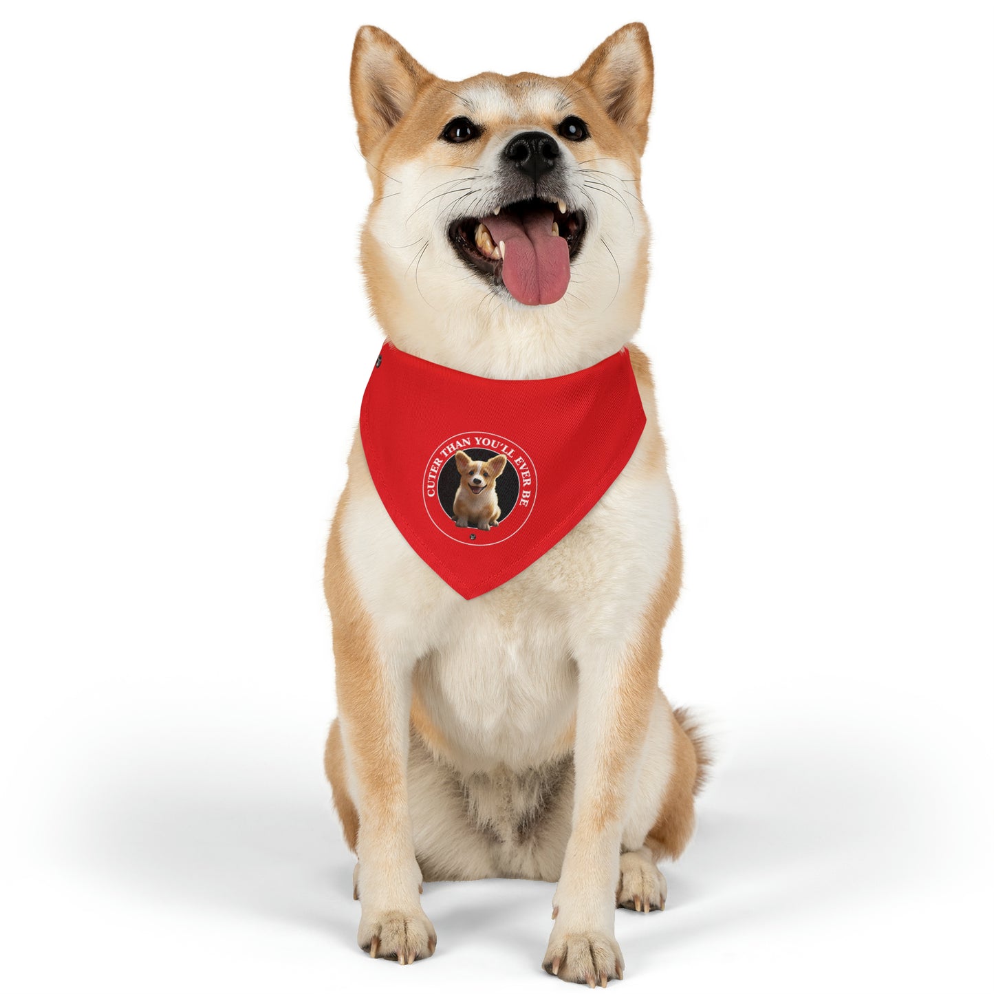 Cuter Than You - Bandana Collar