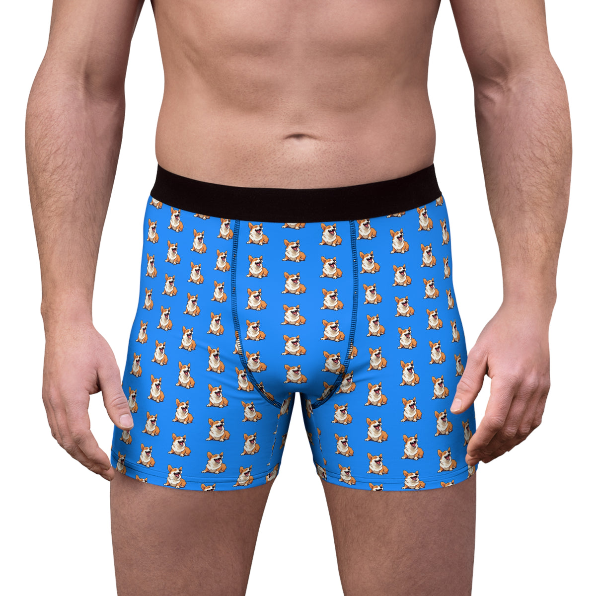 Comical Corgi All Smiles Repeater Pattern Blue Boxer Briefs!