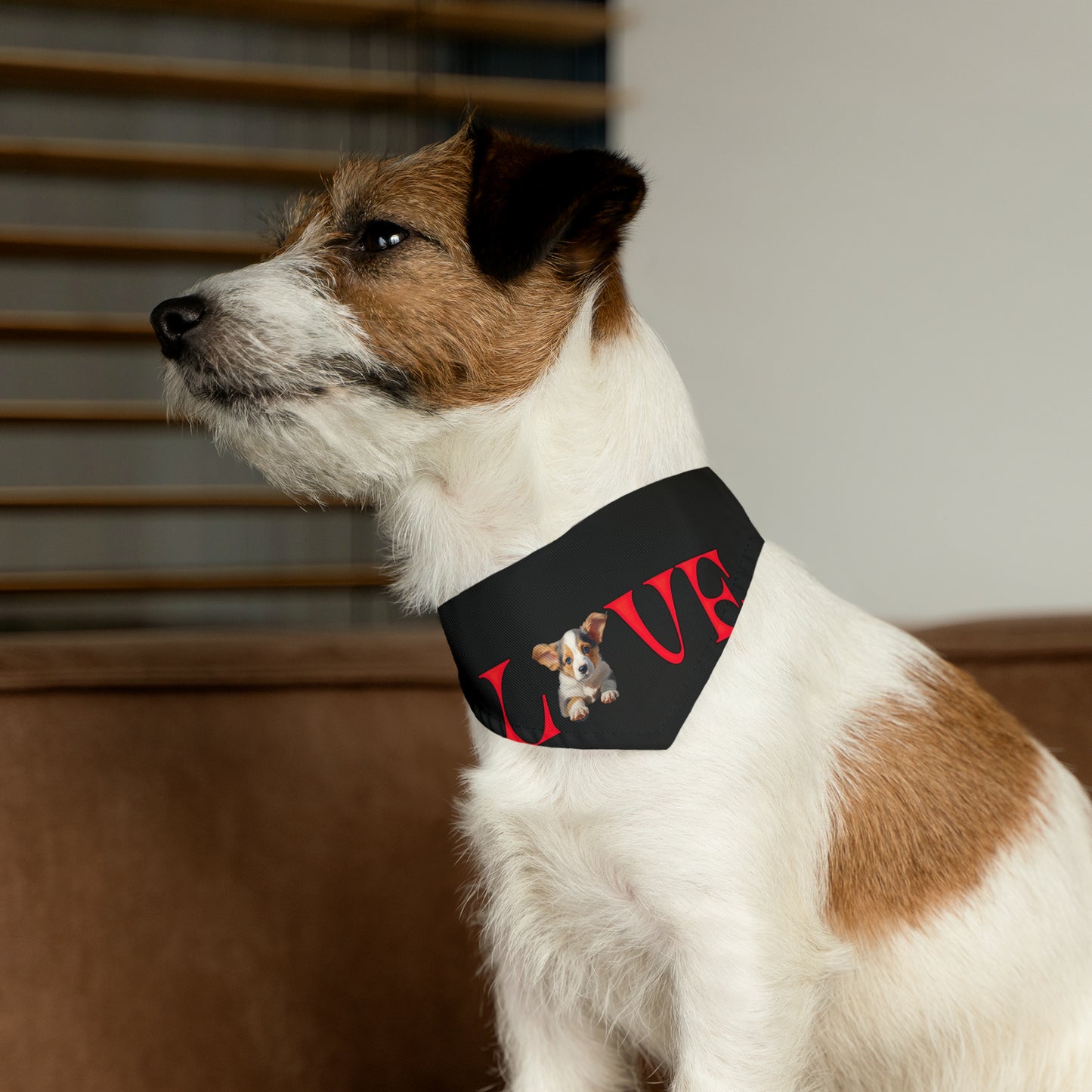 LOVE - Bandana Collar