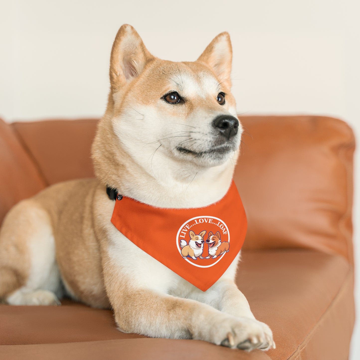 Live...Love...Loaf - Bandana Collar