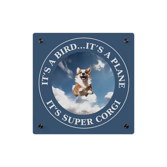 Super Corgi on Acrylic