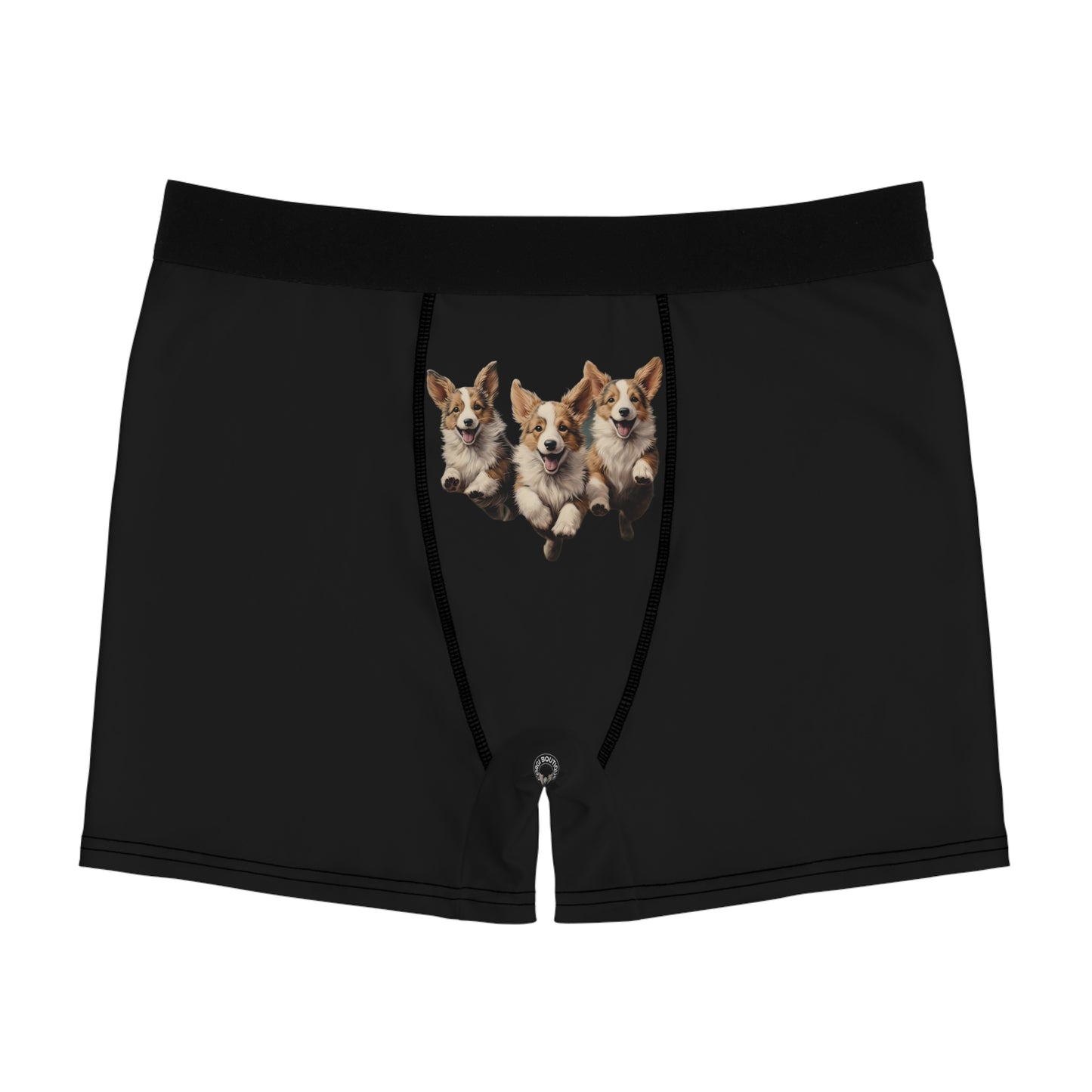 Corgi Enthusiasm Boxer Briefs