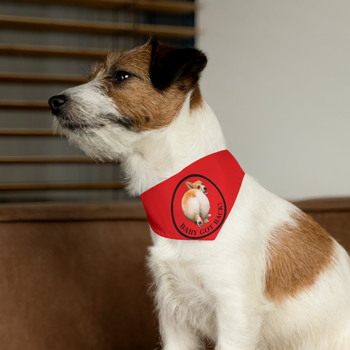 Baby Got Back -  Bandana Collar