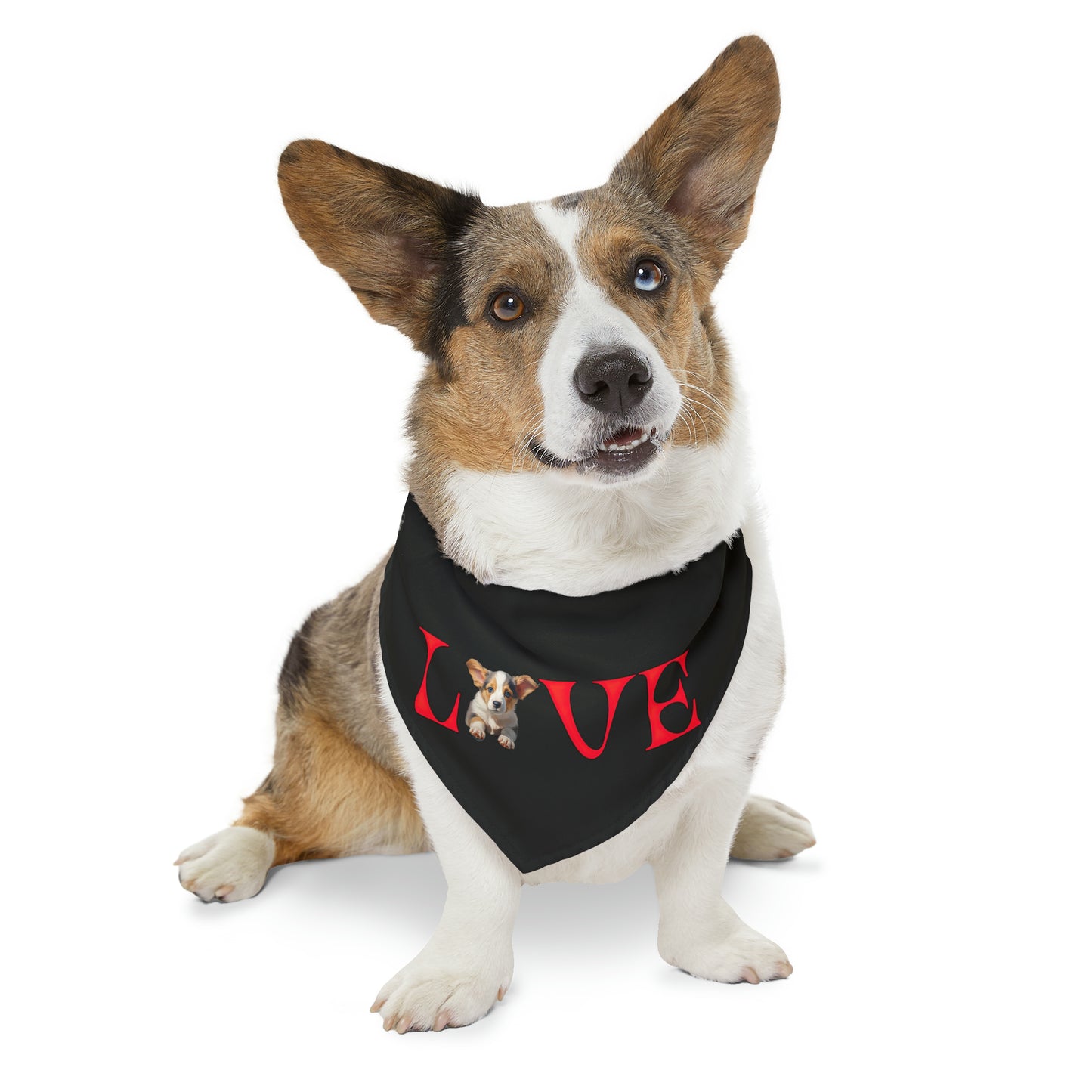 LOVE - Bandana Collar