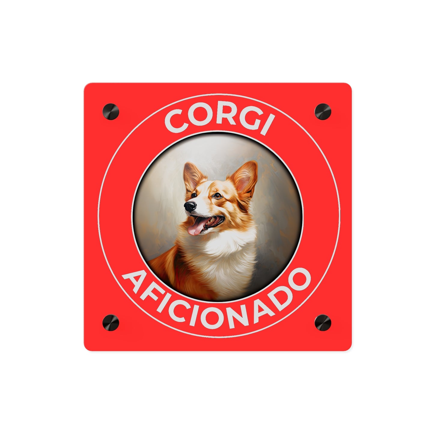 Corgi Aficionado on Acrylic