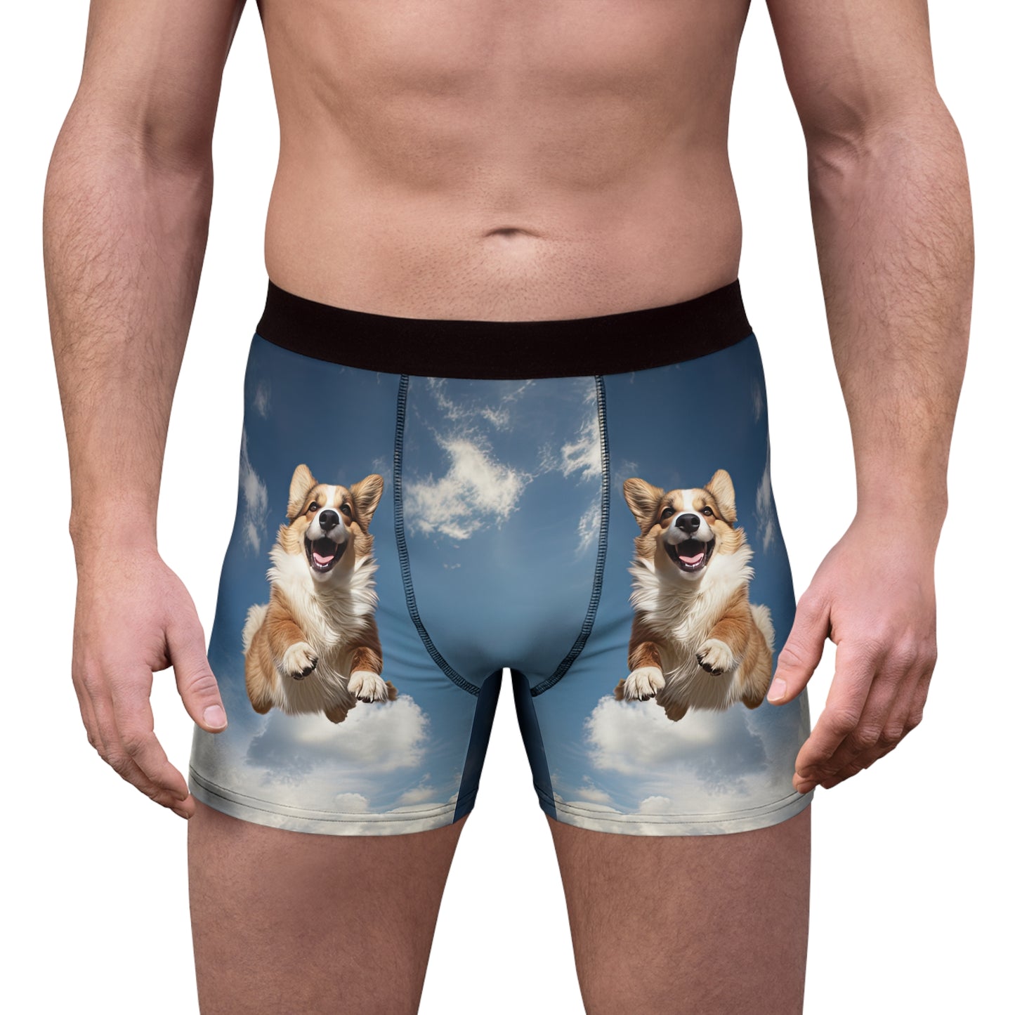 Super Corgi Boxer Briefs