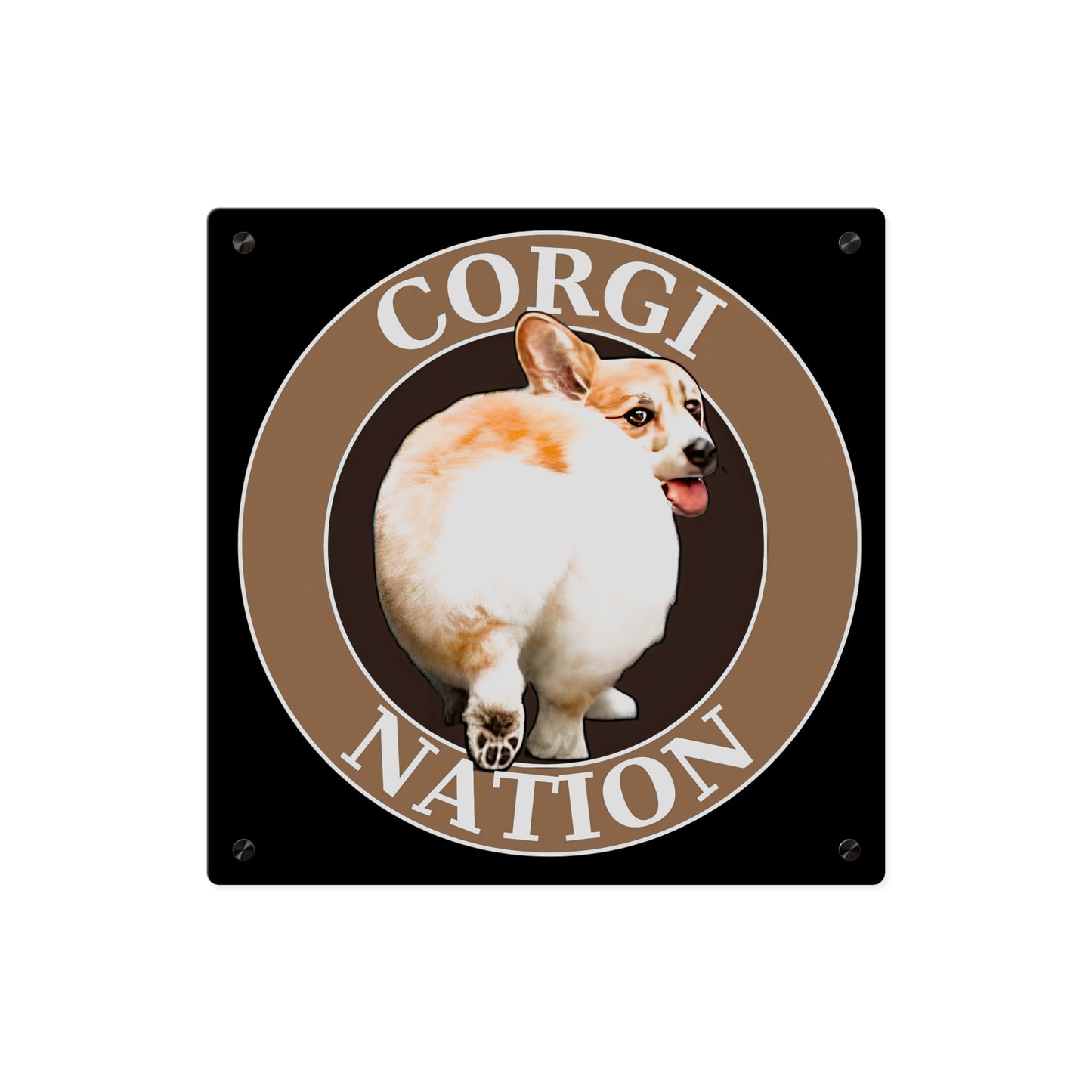 Corgi Nation on Acrylic