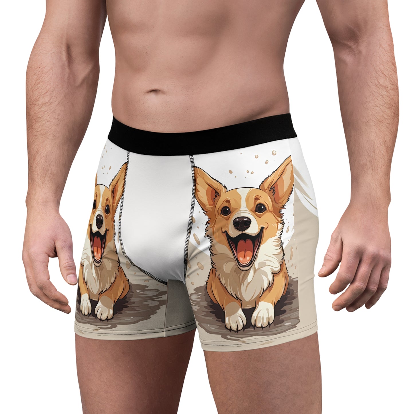 Boxer Corgi Mignon !